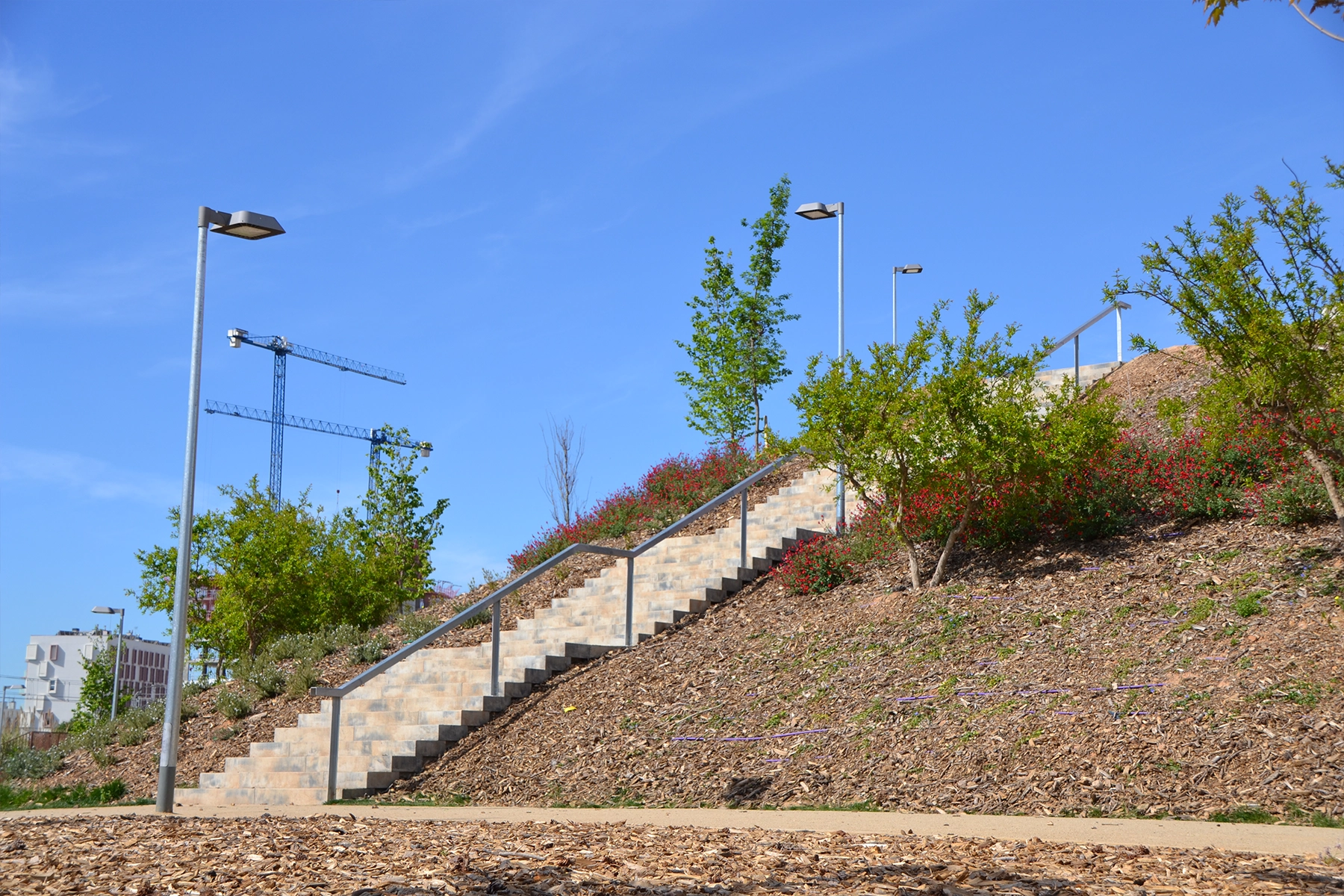 11-Superstep-park-arena-can-buxeres-hospitalet-barcelona-breinco