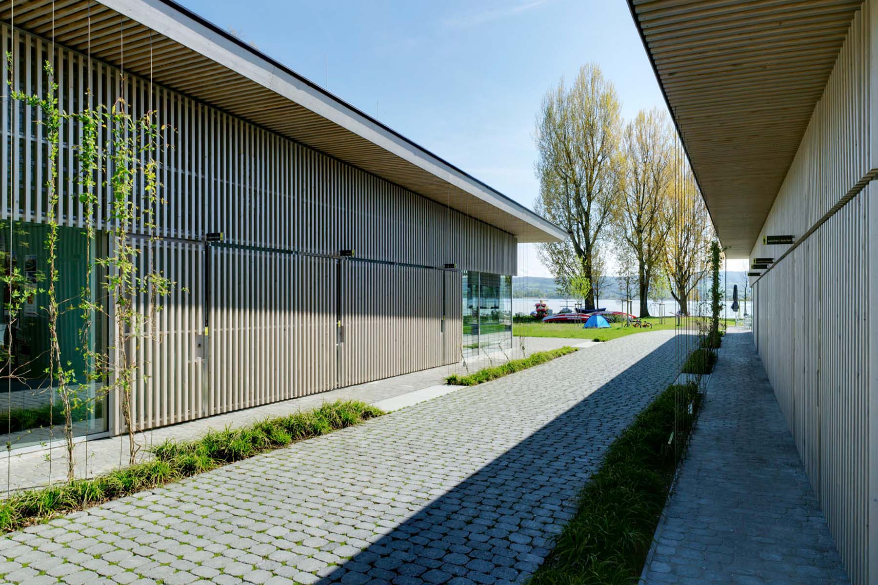 12-arena-tegula-breinco