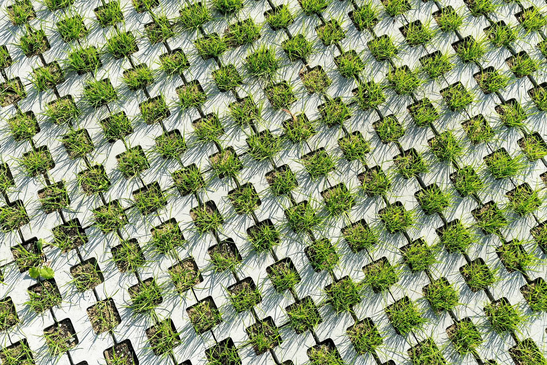 2-llosa-trama-particular-elche-pavimento-drenante