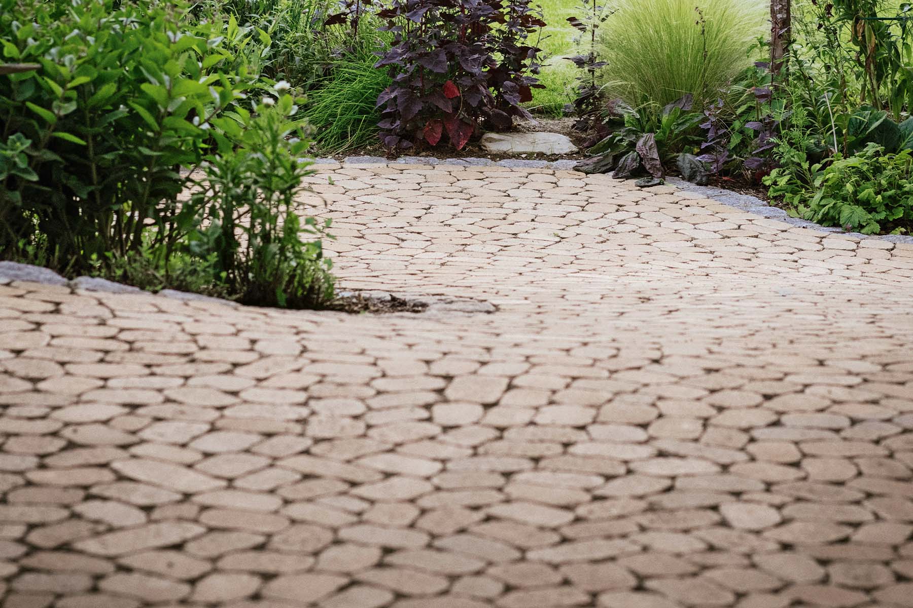 3-arena-tegula-breinco