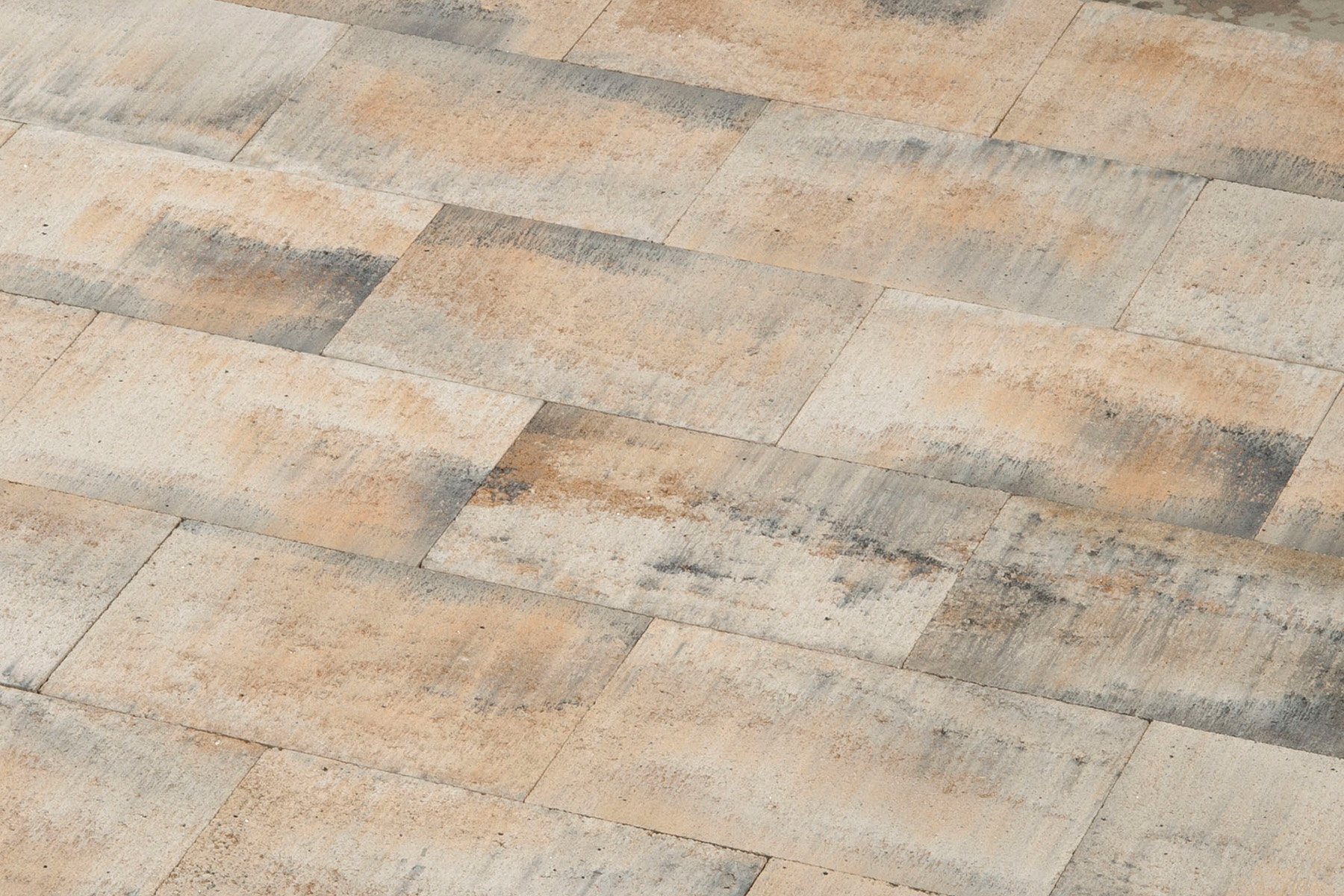 3604_ishi-terana-24x16-standard_arena