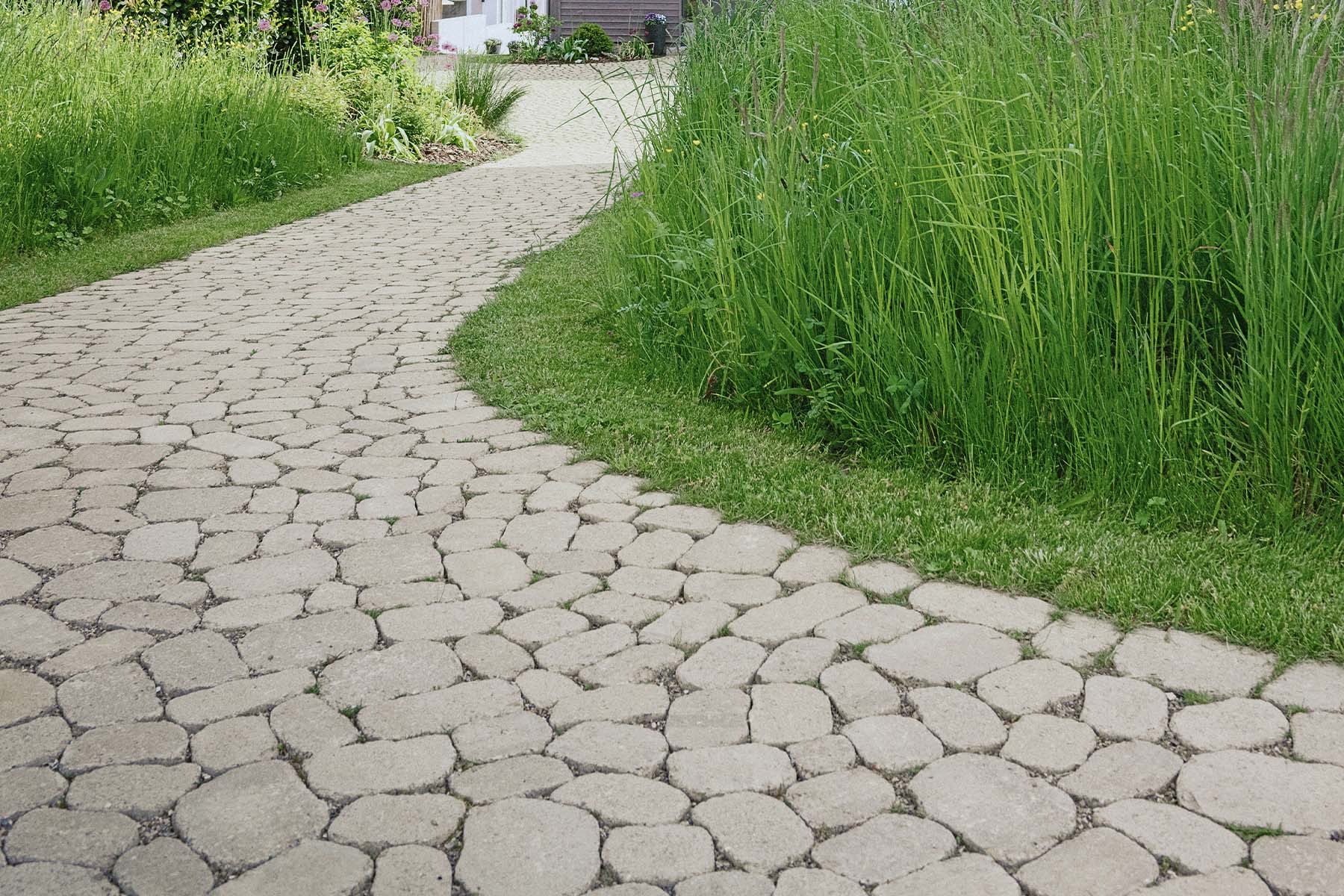 5-arena-tegula-breinco