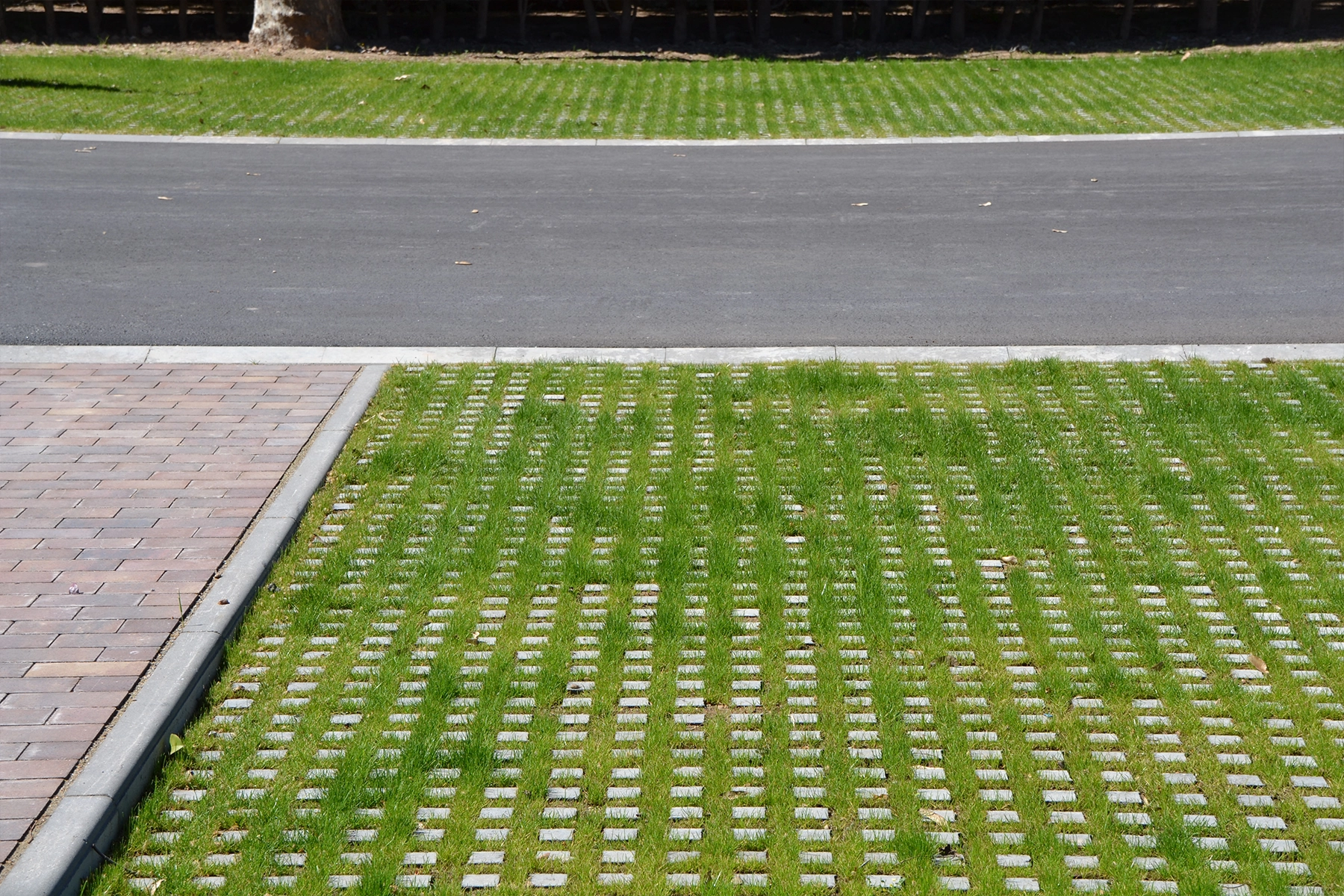 7-llosa-illa-detail-breinco