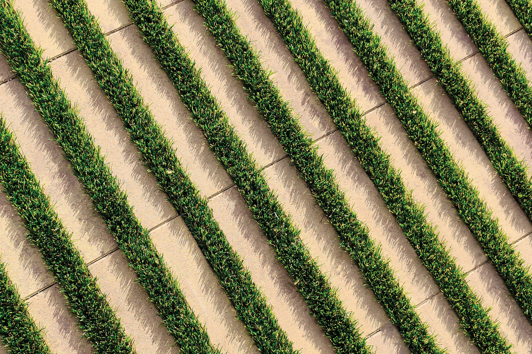 Filtra-green-breinco-desierto