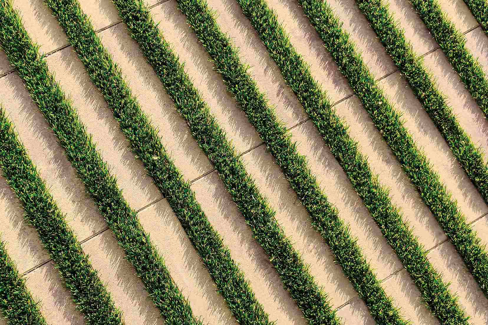 Filtra-green-breinco-desierto_3_11zon