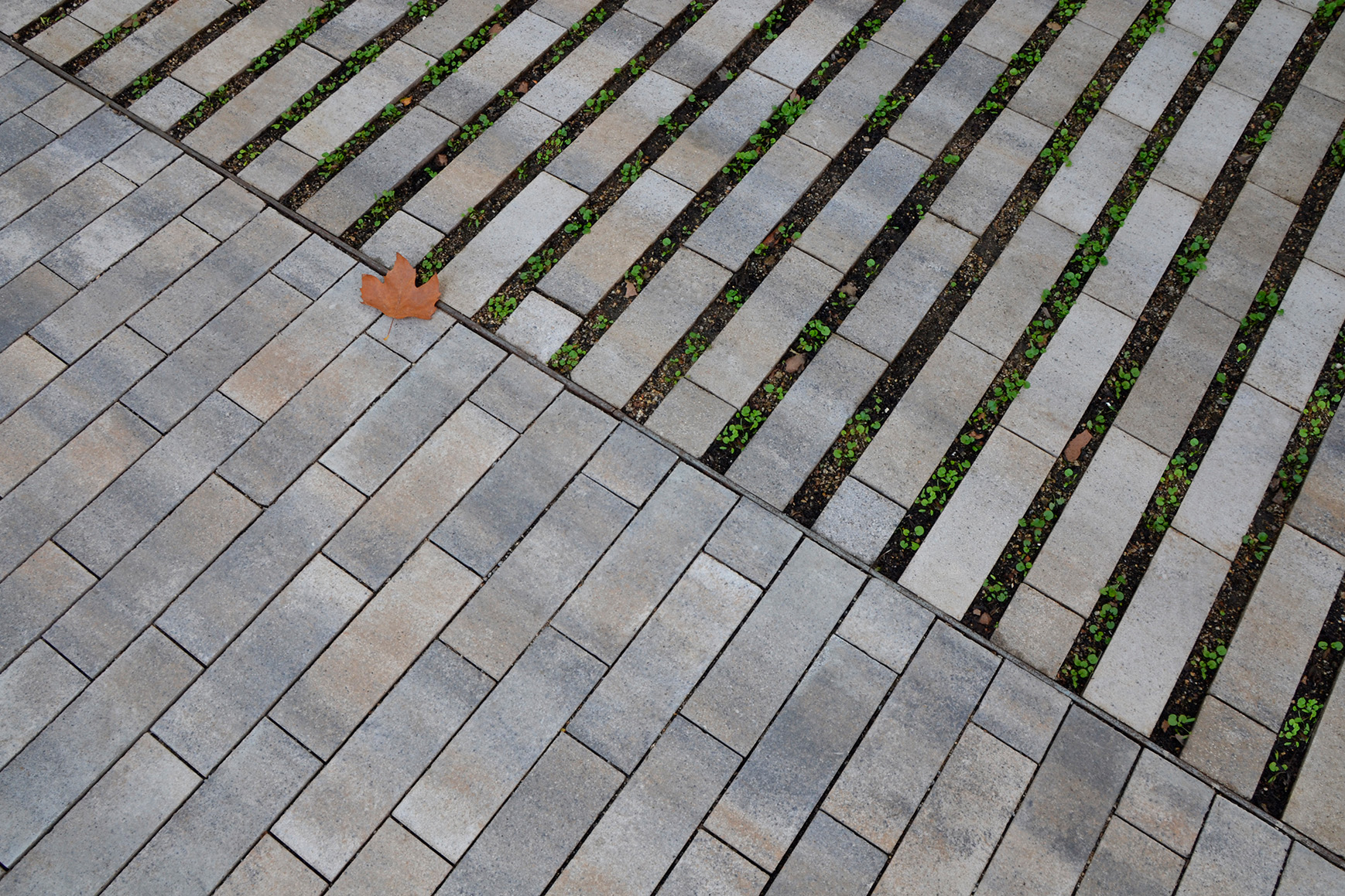 Llosa-vulcano-rasen-mohr-arena-tiana-barcelona2