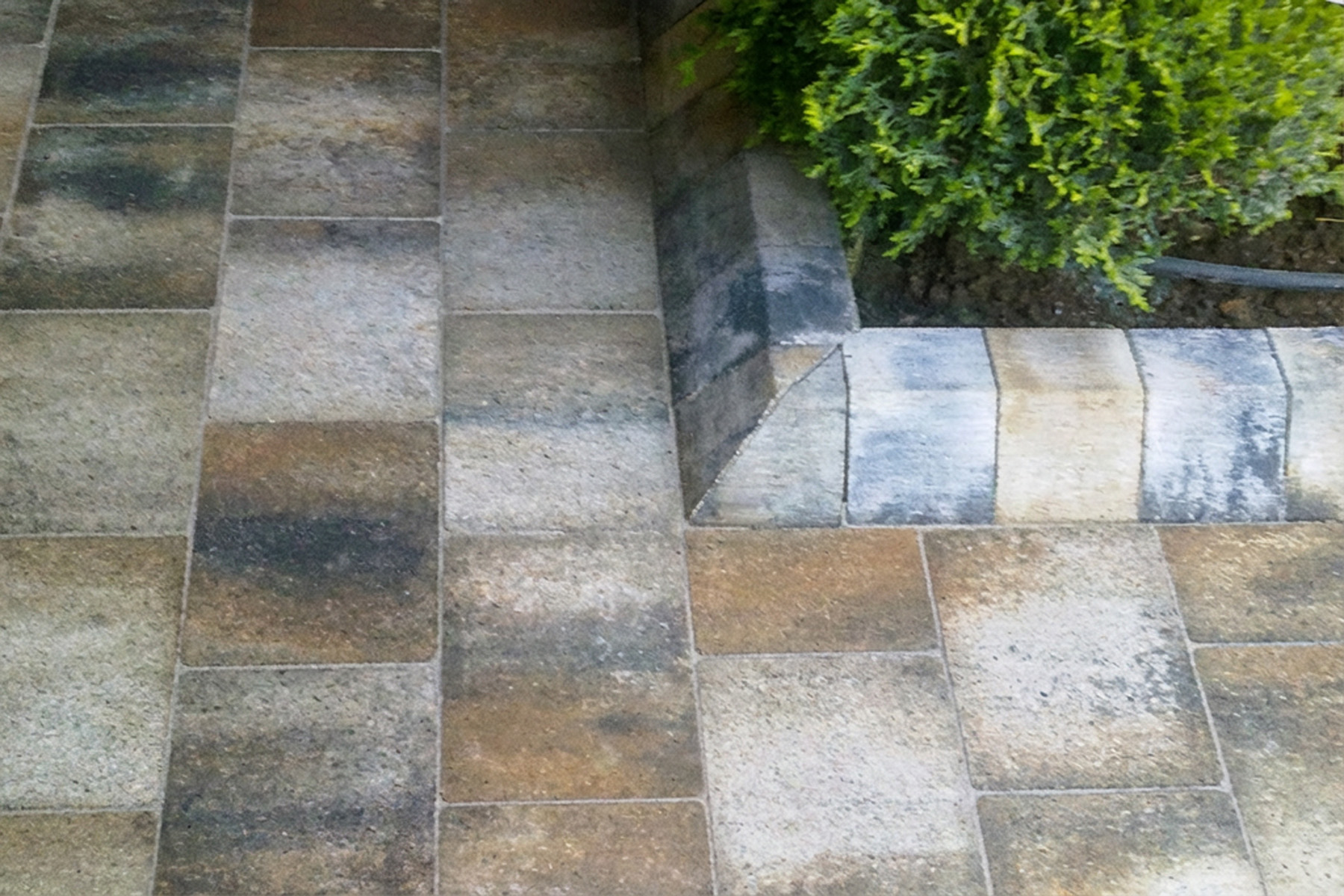 Multistep-terana-home-arena-llosa-vulcano-cardadeu-garden