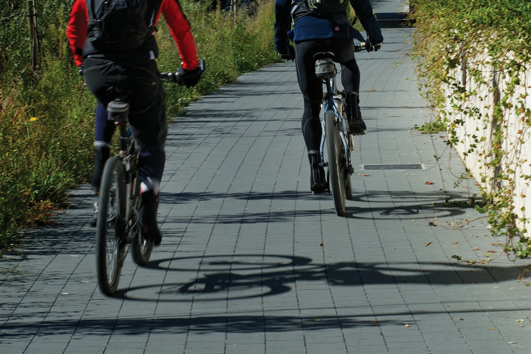 Terana-art-path-black