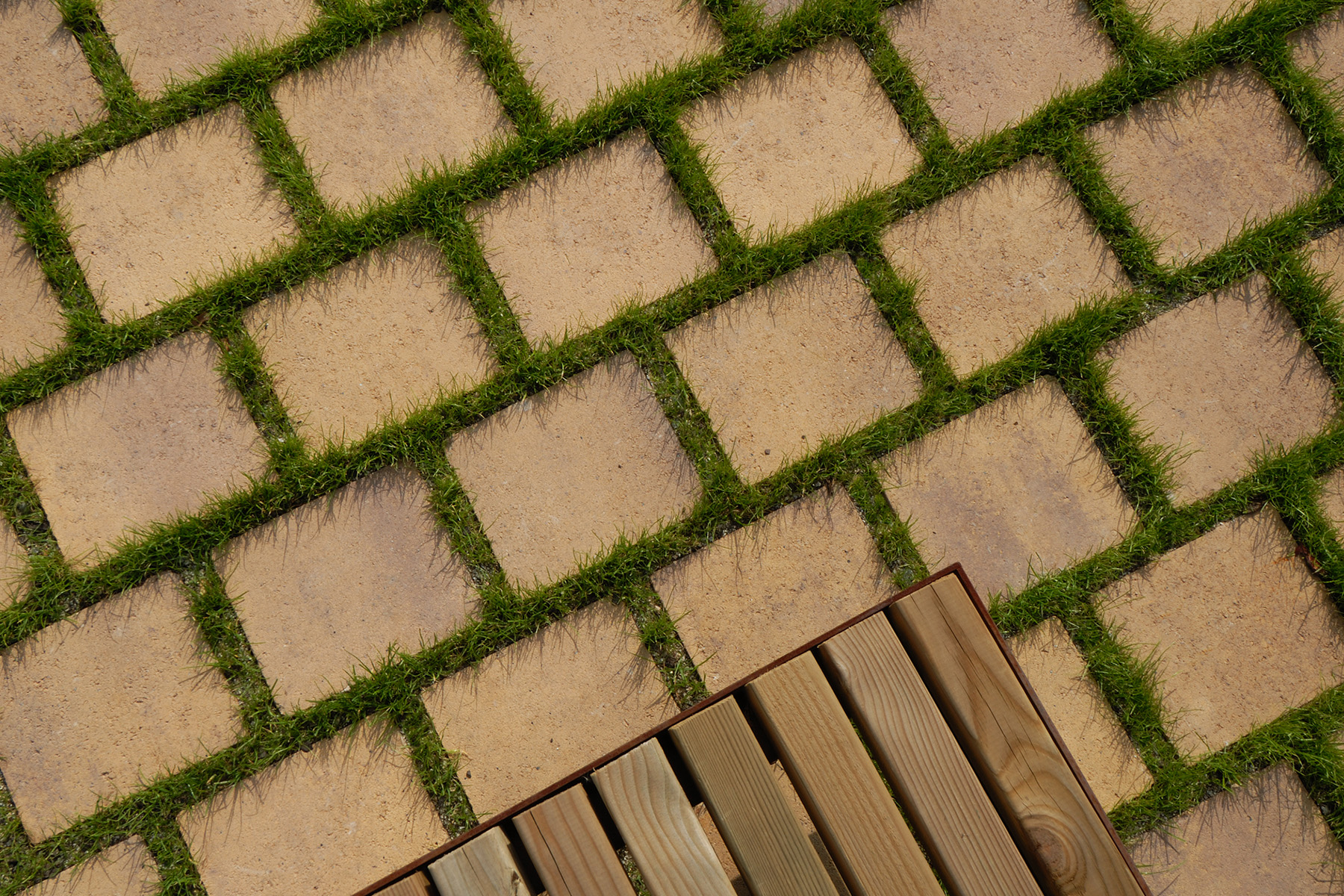 Terana-green-contract-desierto-Real-Club-Tenis-barcelona