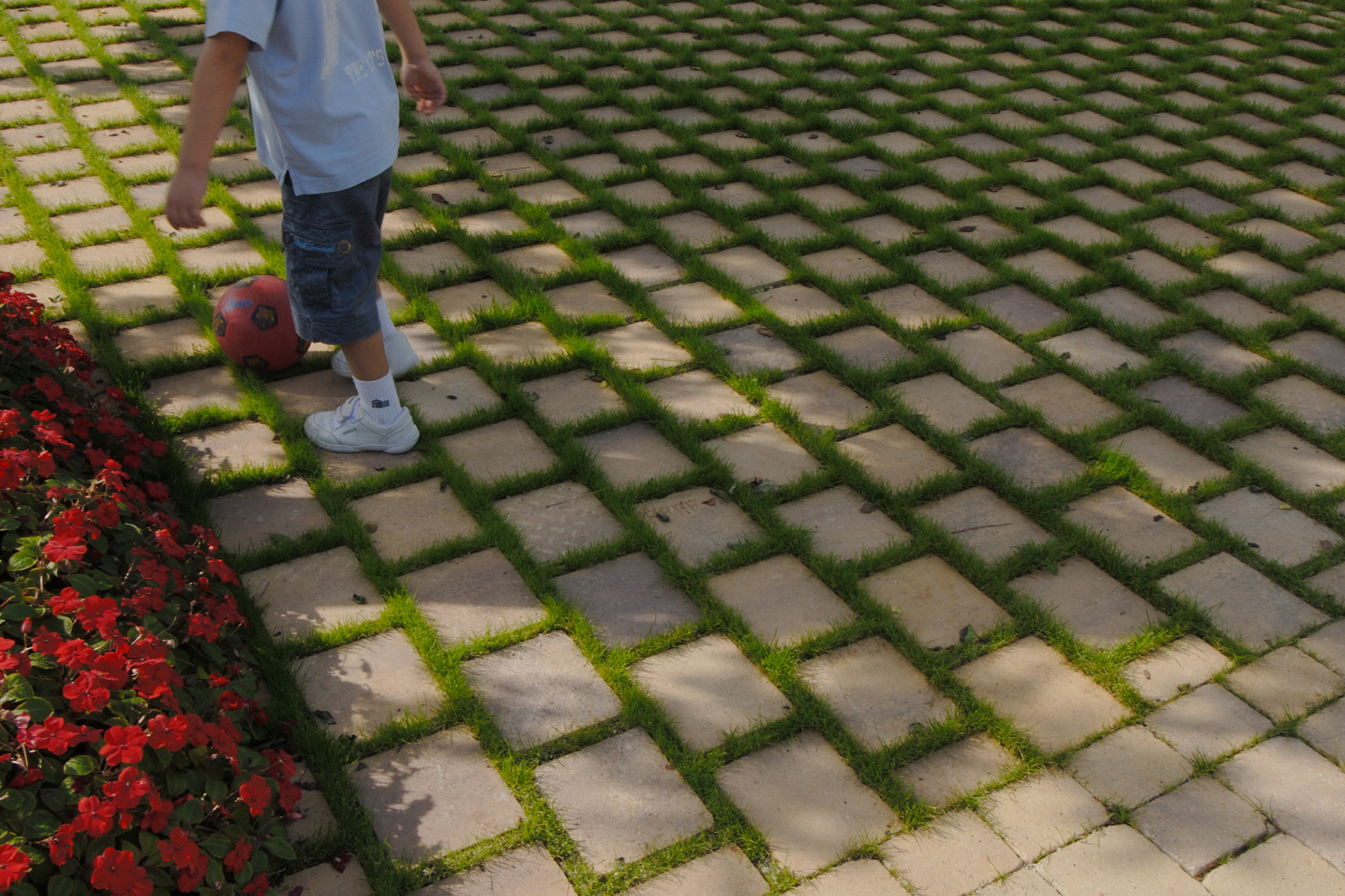 Terana-green-contract-desierto-Real-Club-Tenis-bcn