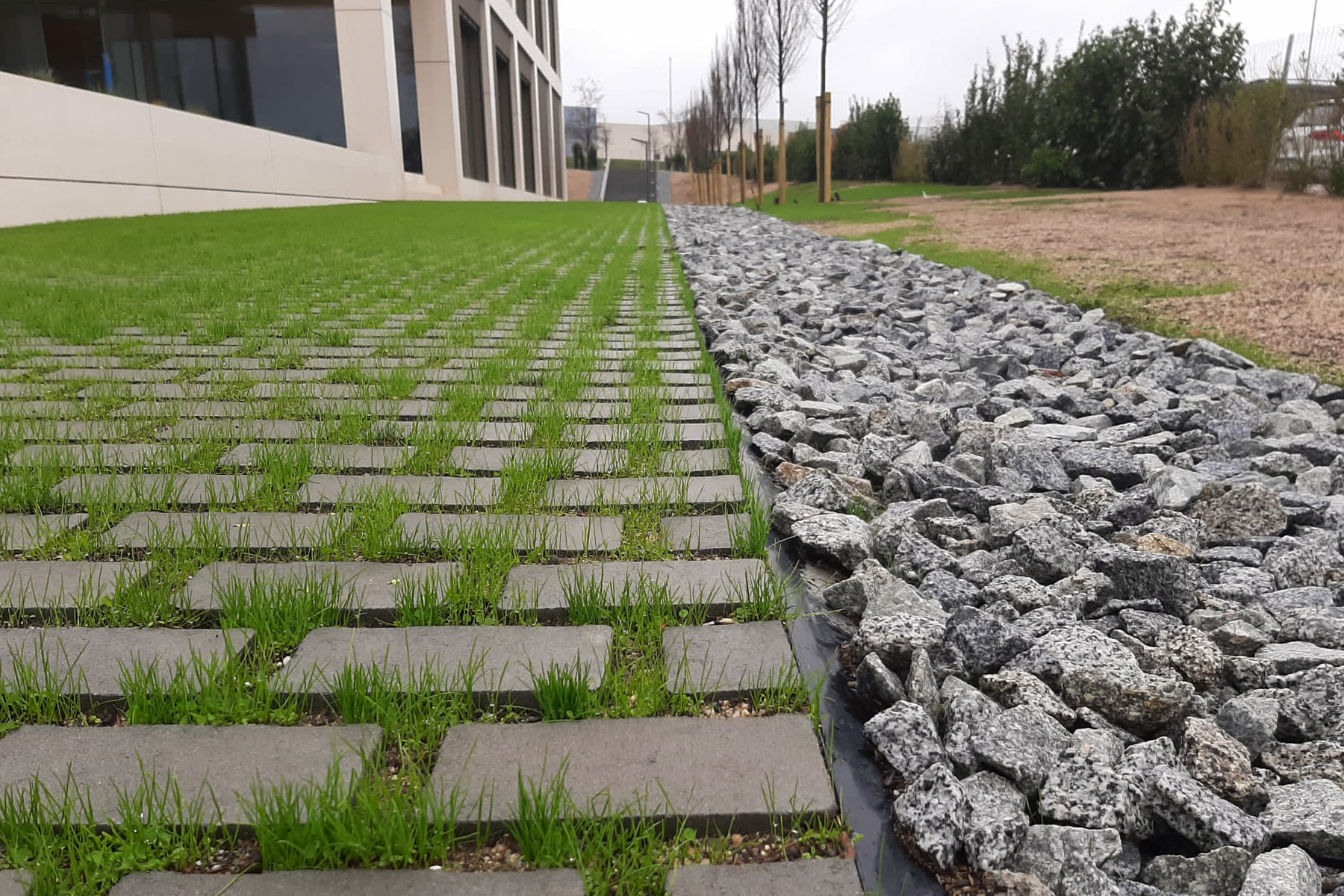 Terana-green-contract-grey-sant-çugat-vega-barcelona-pave-edge
