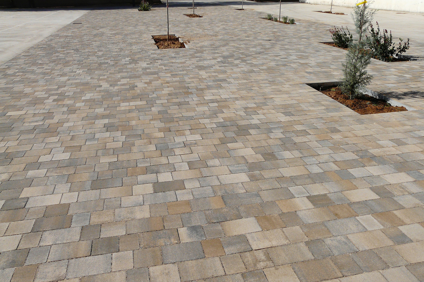 Terana-light-contract-arena-school-alicante