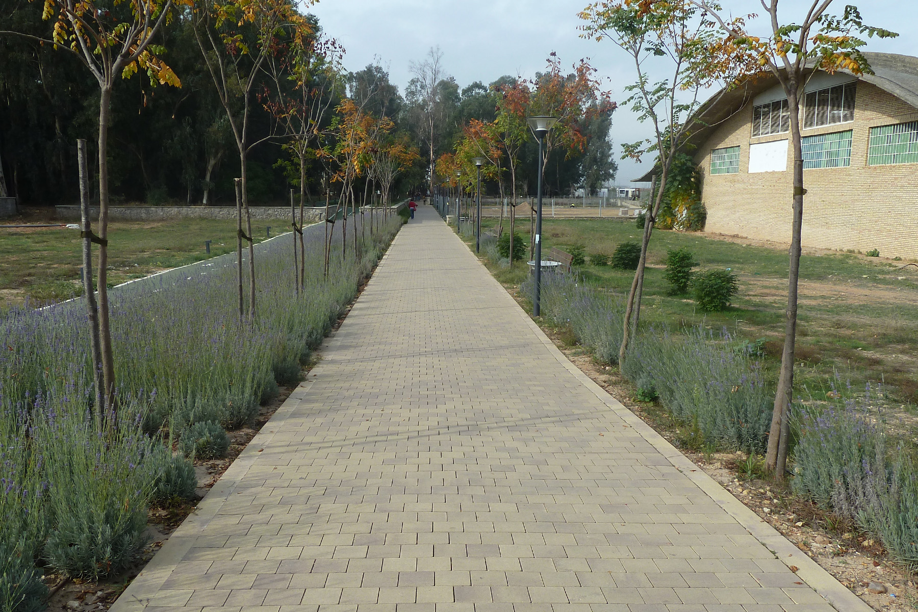 Terana-light-street-sevilla-españa-brienco