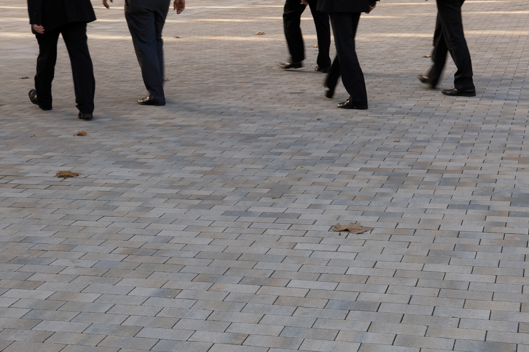 Terana-six-contract-arena-metrovacesa-bcn