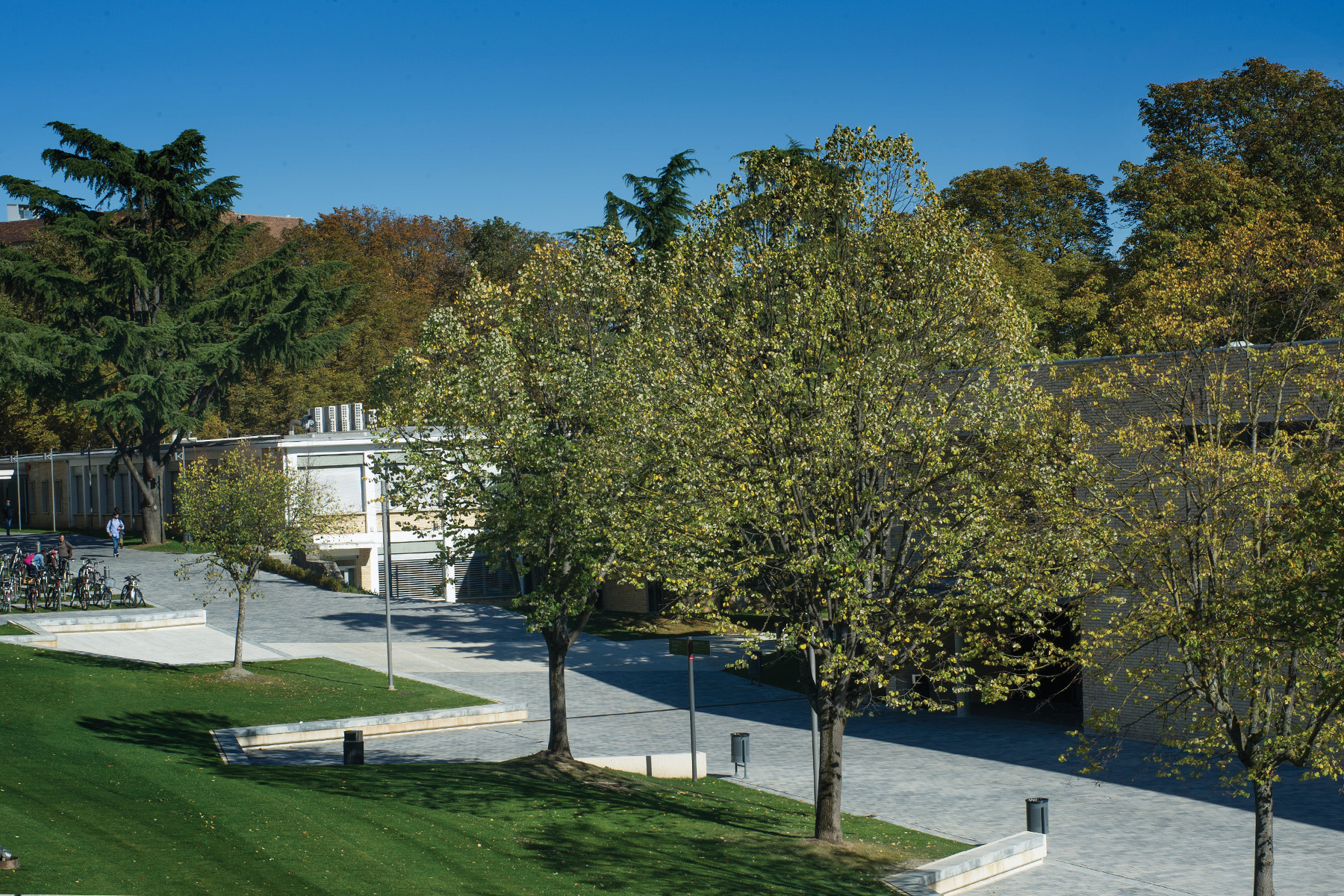 VS5-square-ceniza-pamplona-universidad