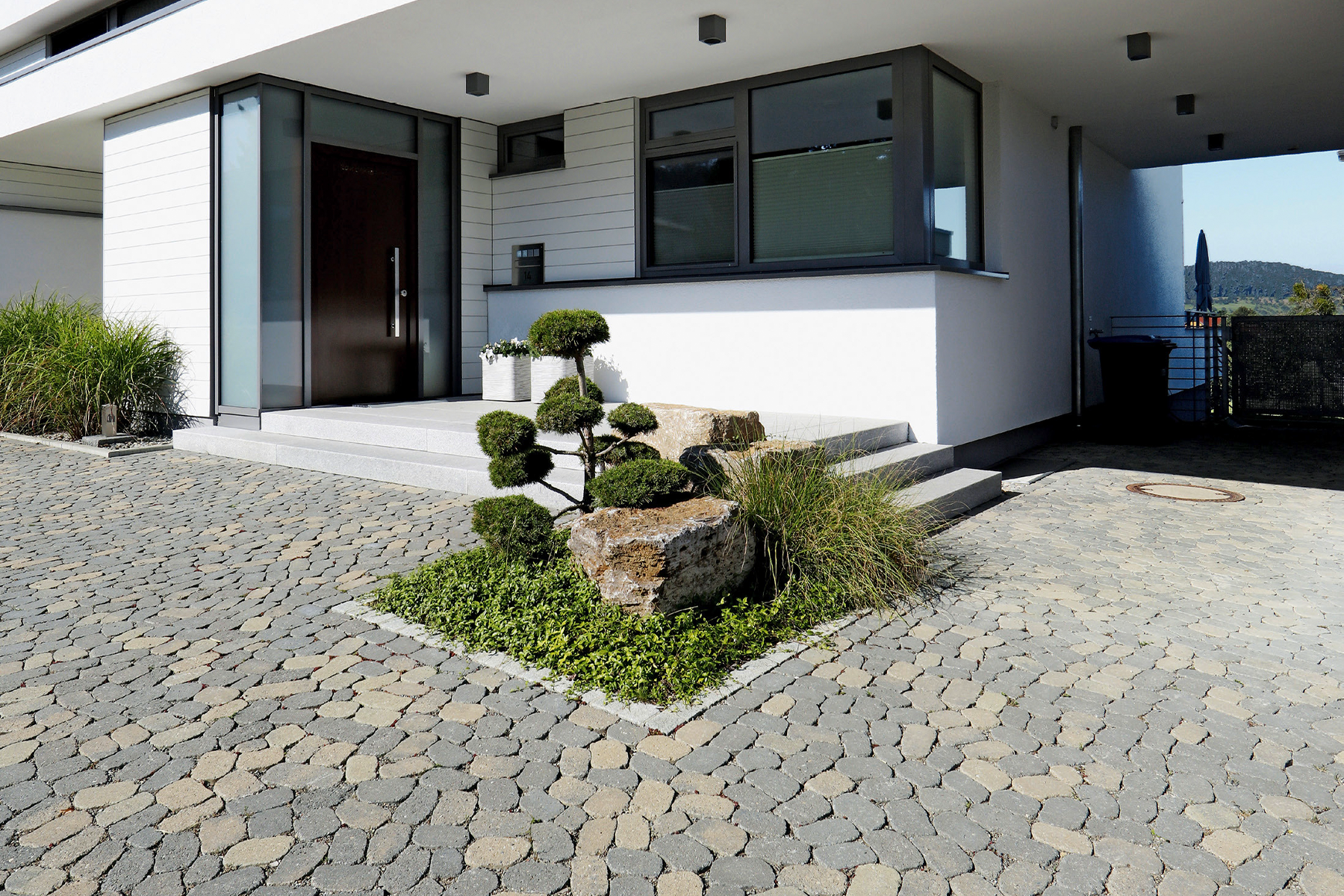arena-tegula-breinco-2
