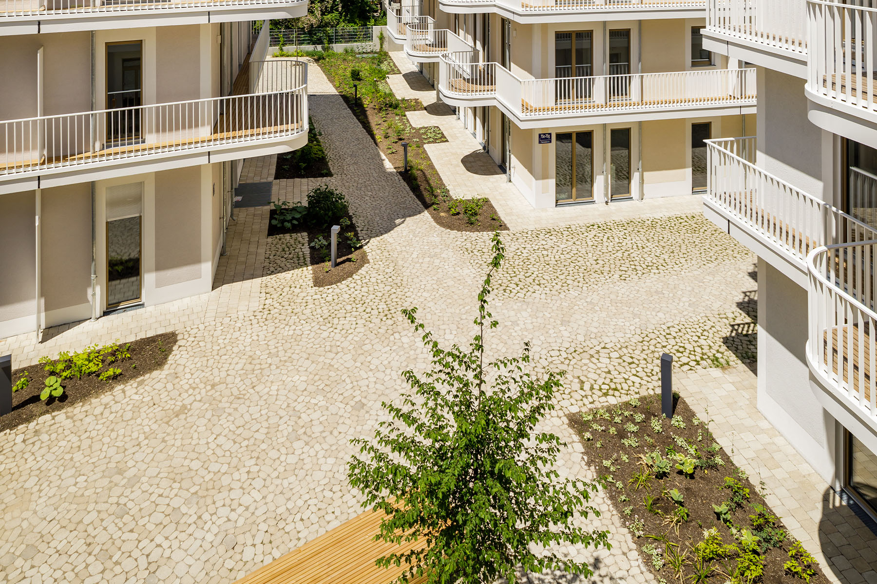 arena-tegula-breinco-4