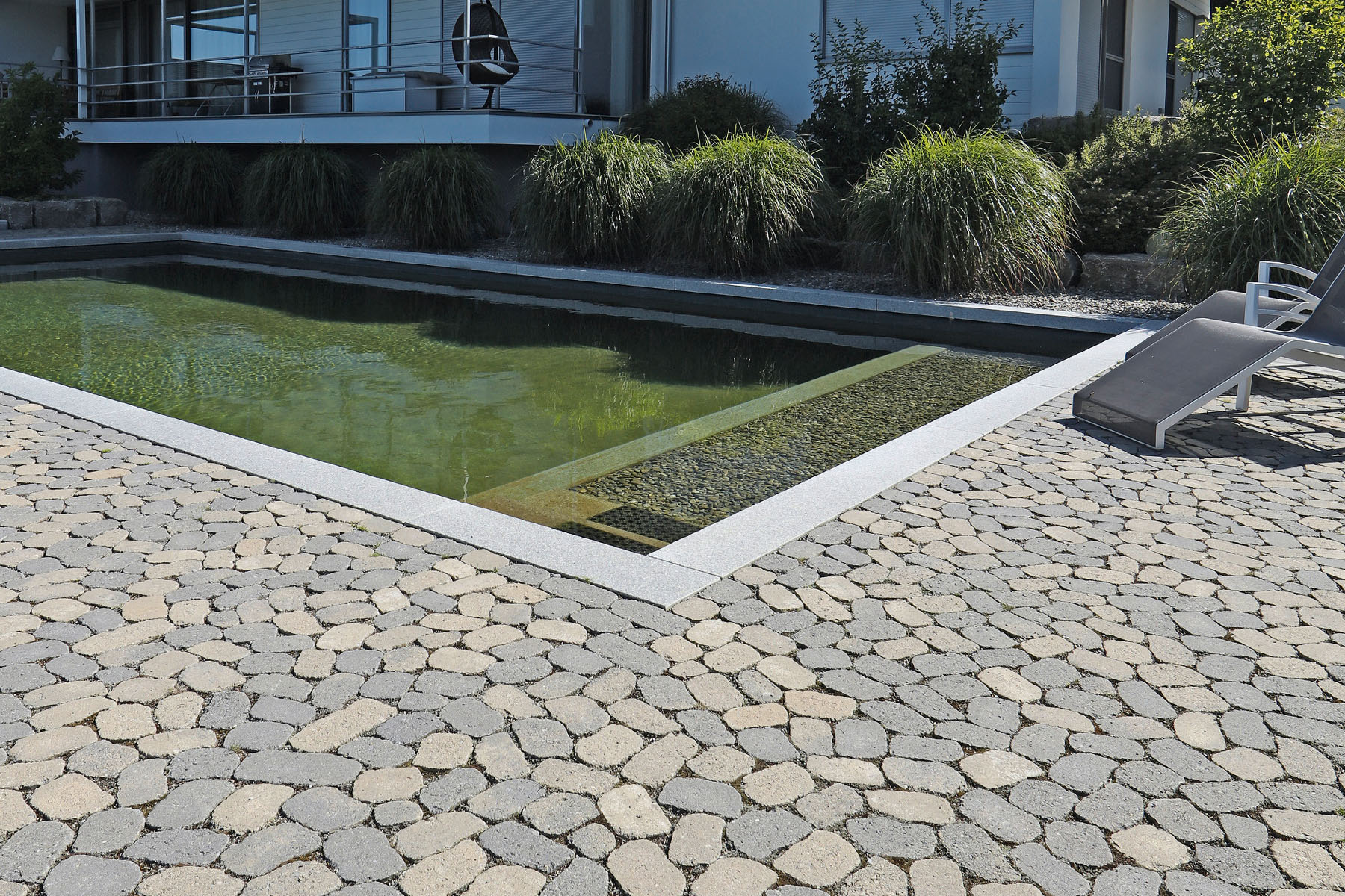 arena-tegula-breinco-5