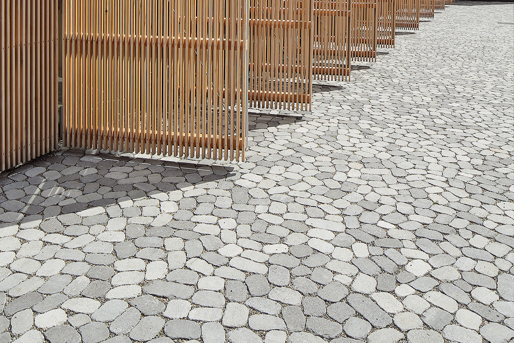arena-tegula-galeria-5