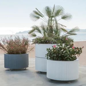 circle planter