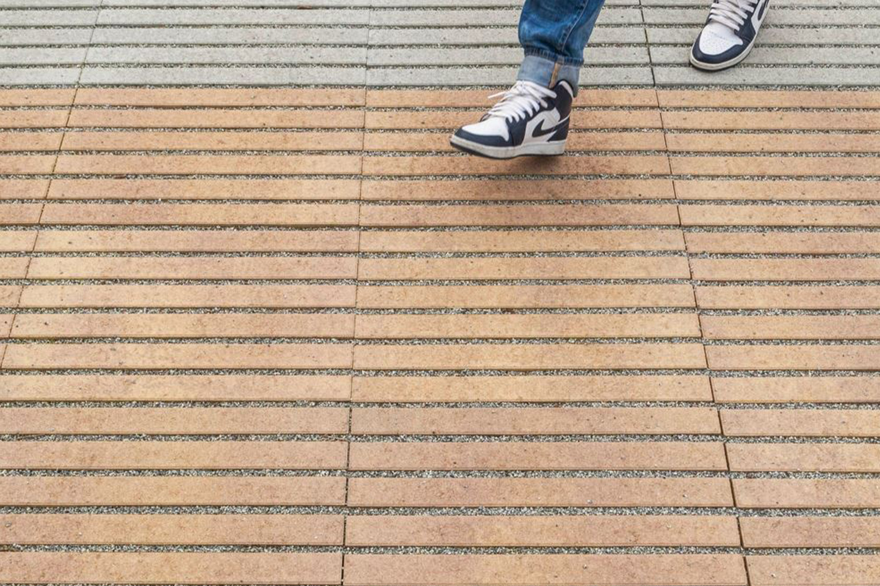 llosa-filtra-breinco-showland