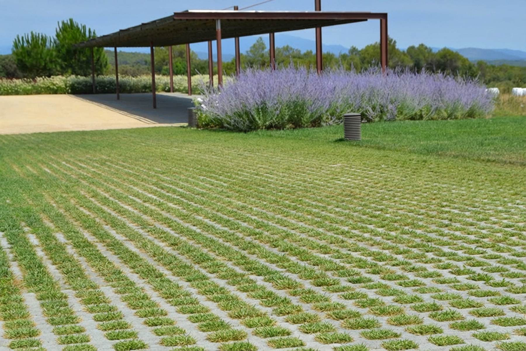 llosa-trama-hotel-grey-vilademuls