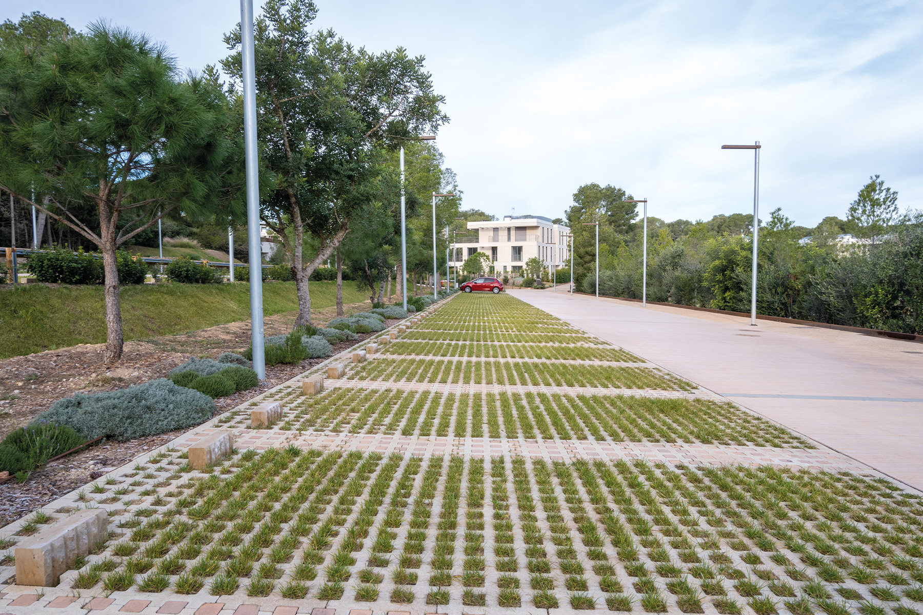 llosa-trama-taco-salou-breinco