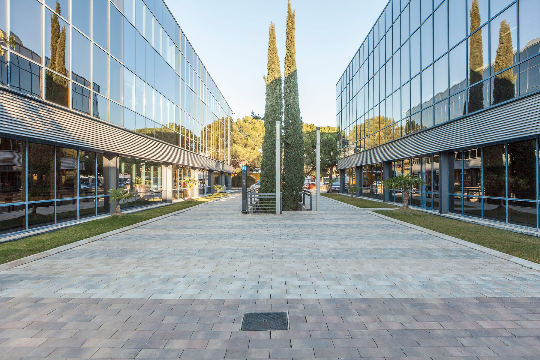 llosa-vulcano-mediterraneo-arena-centro-negocios-madrid