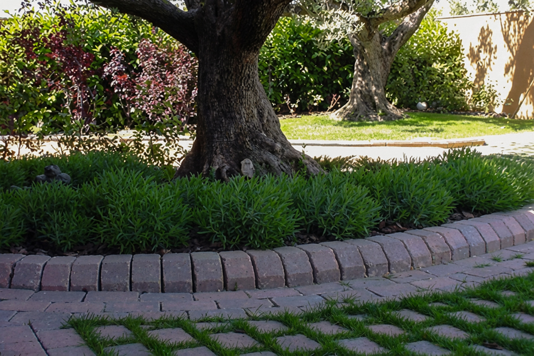 multistep-tegula-adoquin