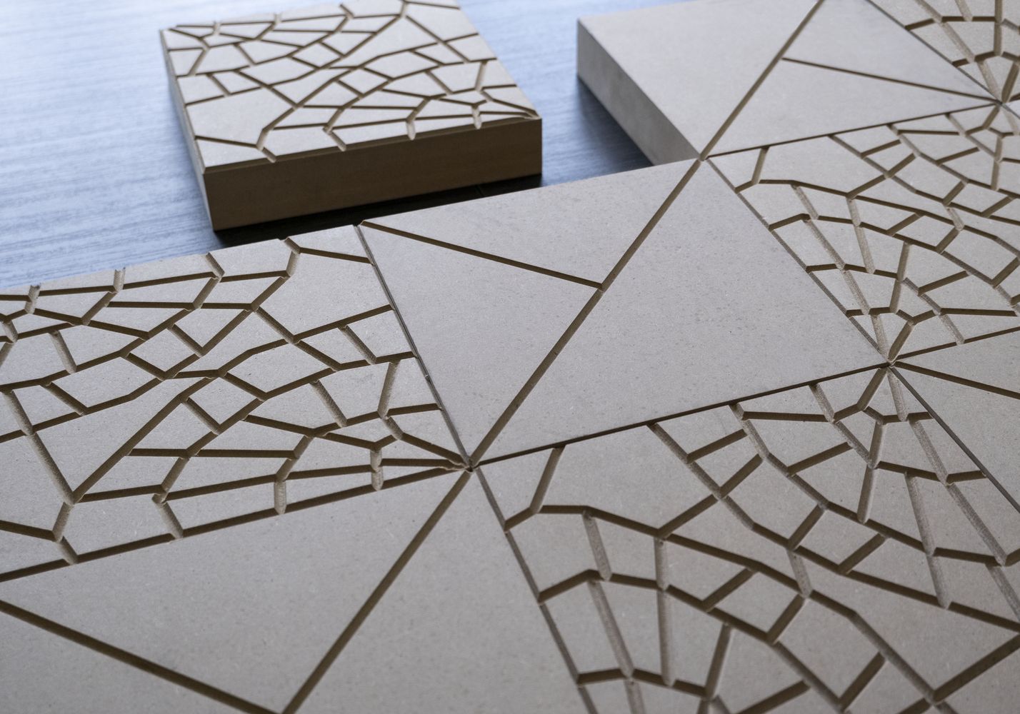 panot-proceso-breinco-1