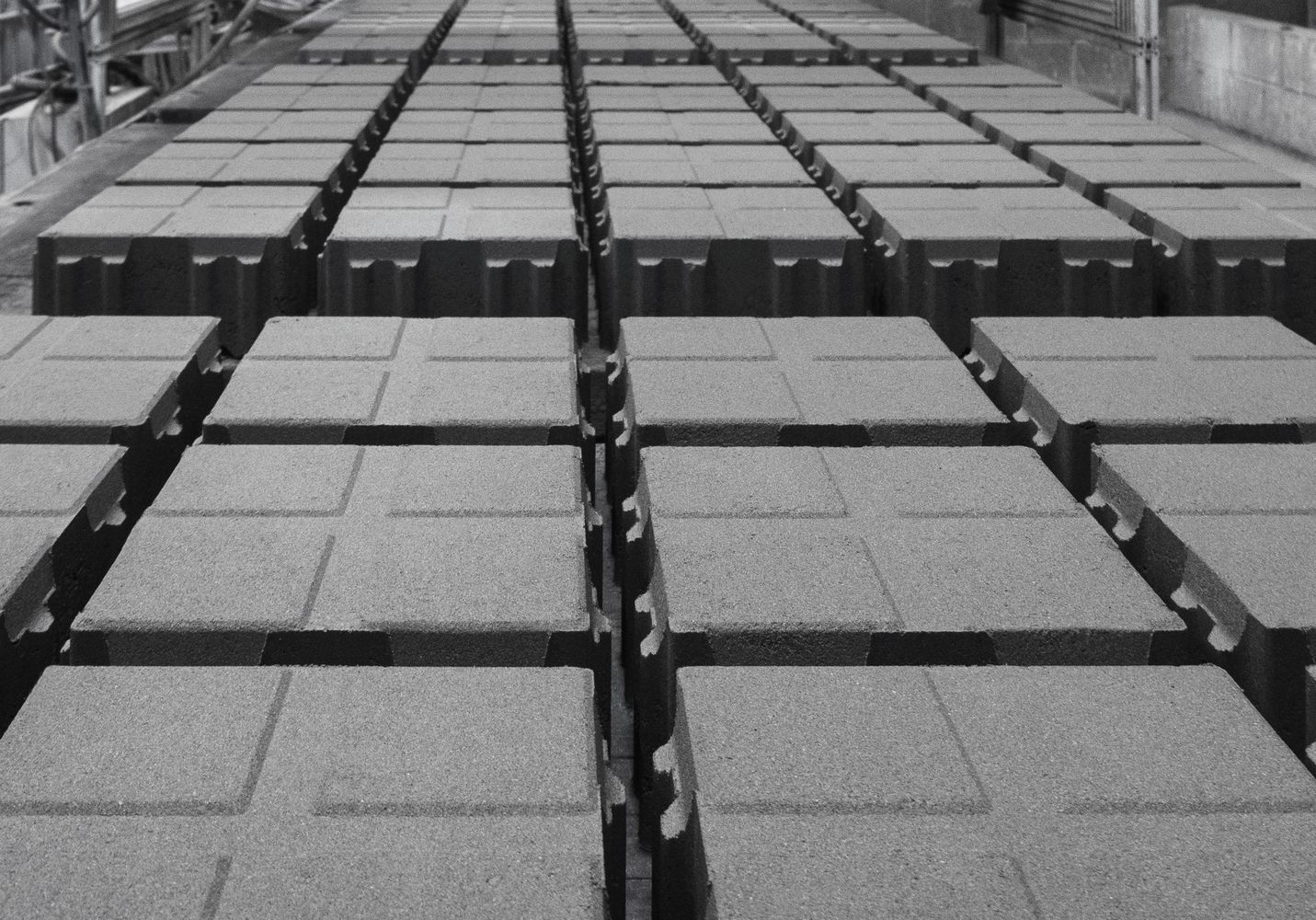 panot-proceso-breinco-3