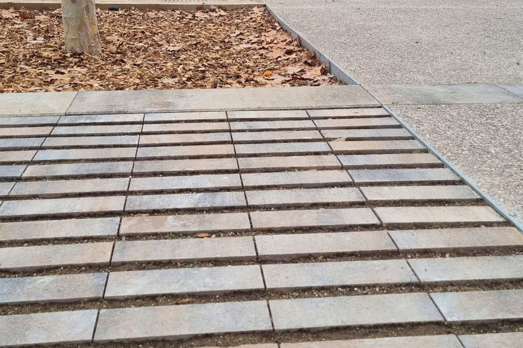 rasen-mohr-detail-breinco