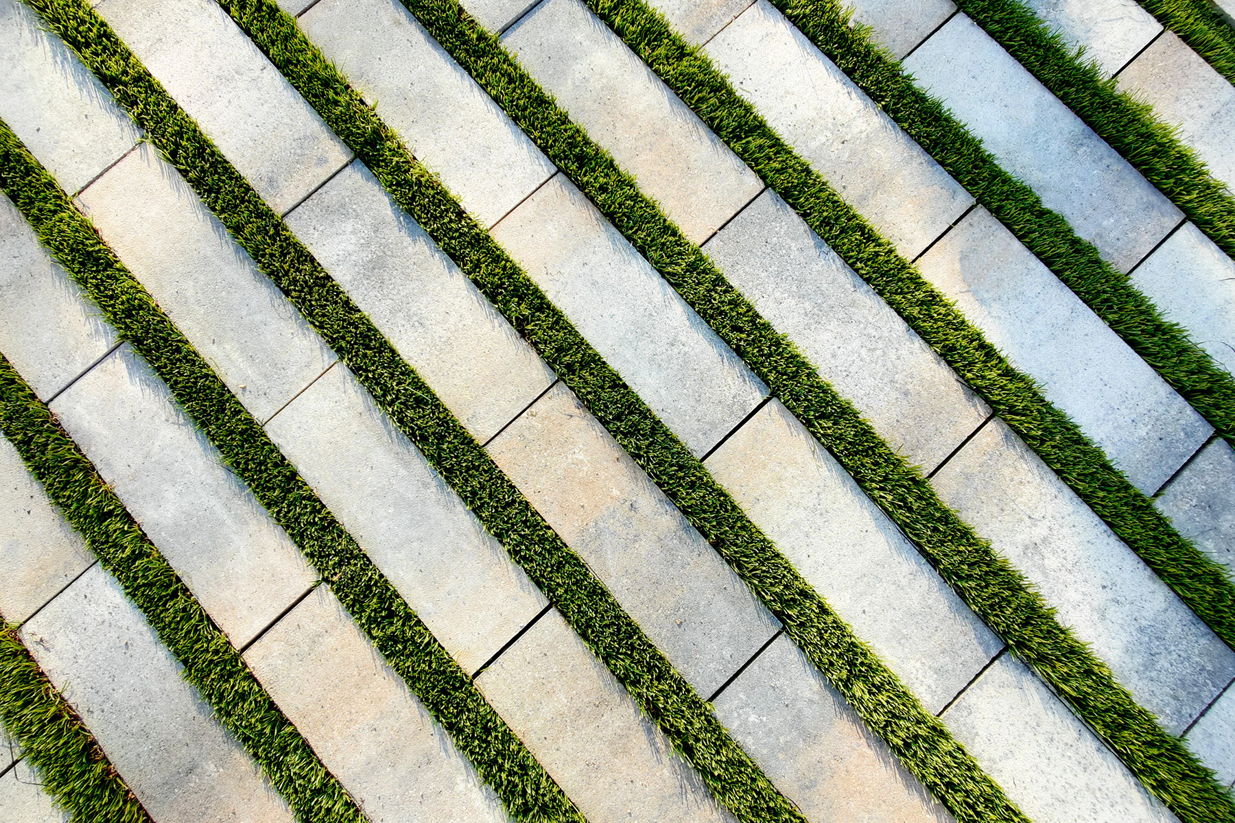 rasen-mohr-detail-pavimento-drenante