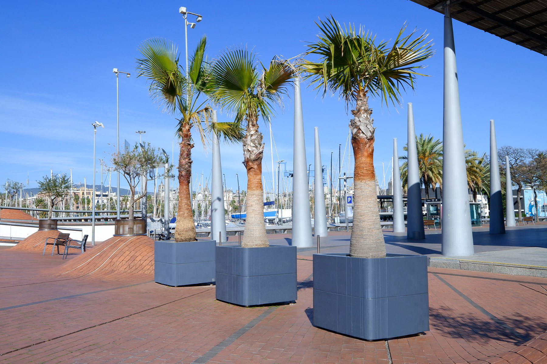 square-planter_maremagnum_editada