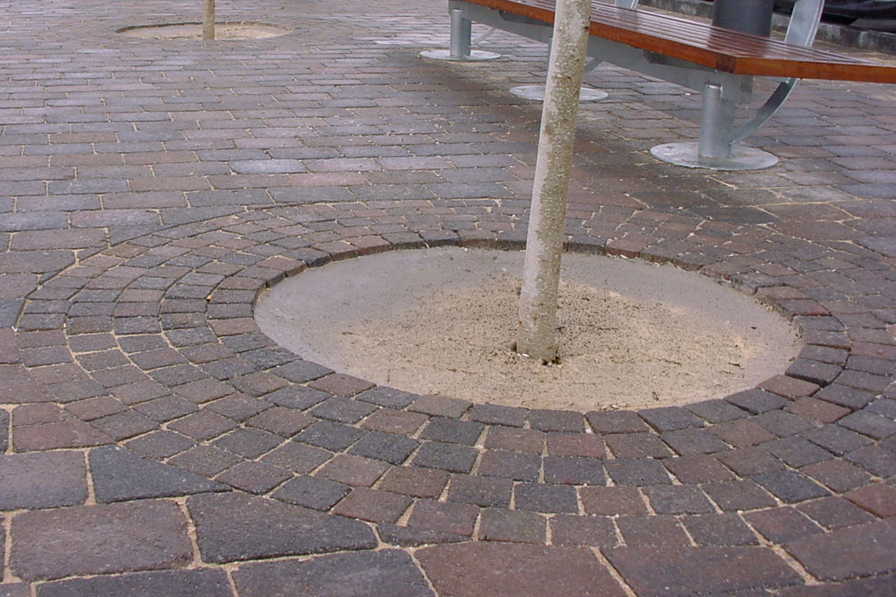 taco-tegula-Fortuna-murcia