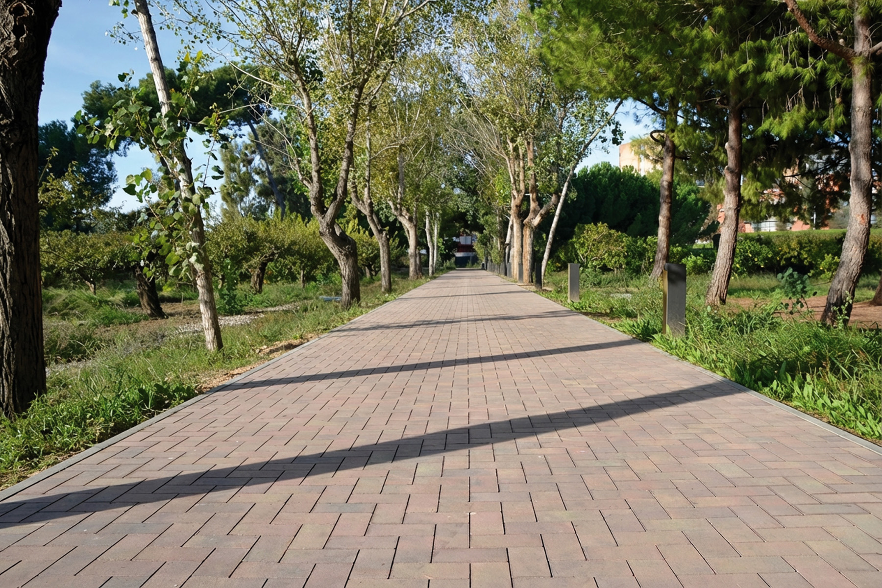 terana-contract-mediterrani-museu-de-les-aigues-agbar-cornella-barcelona