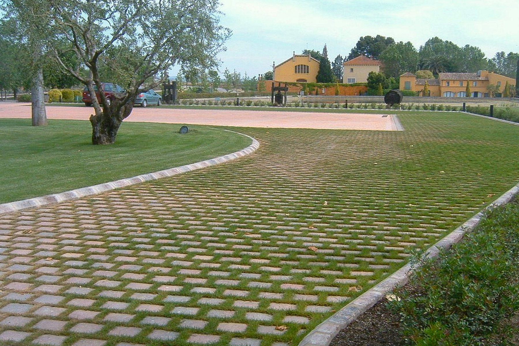 terana-green-bodegues-torres-desierto