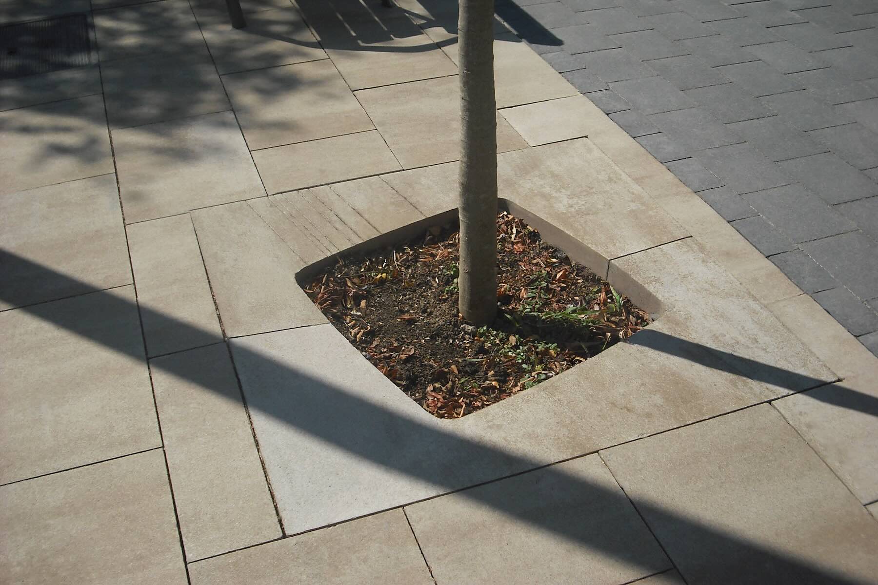 tree-2-web-2