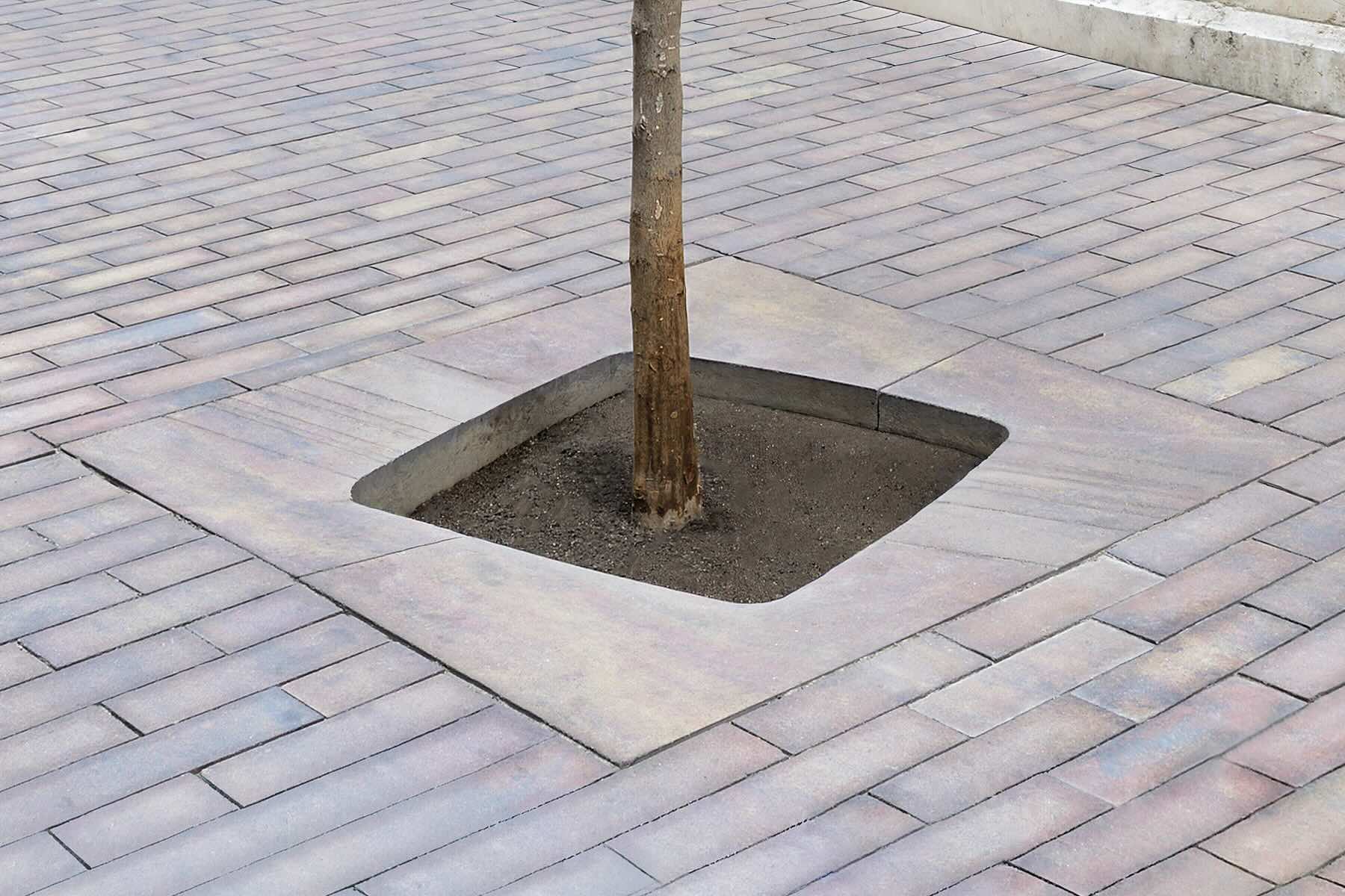 tree-3-2