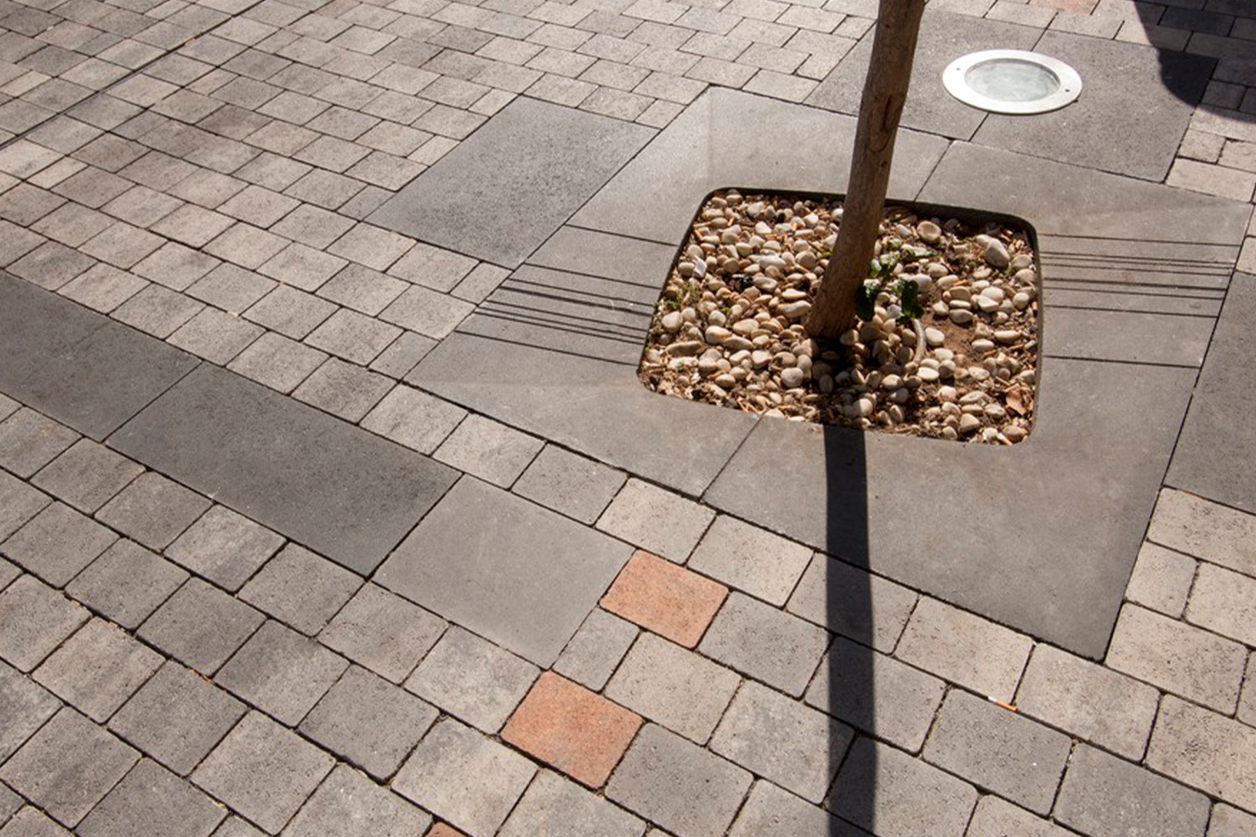 tree-contract-barcelona-elements-street