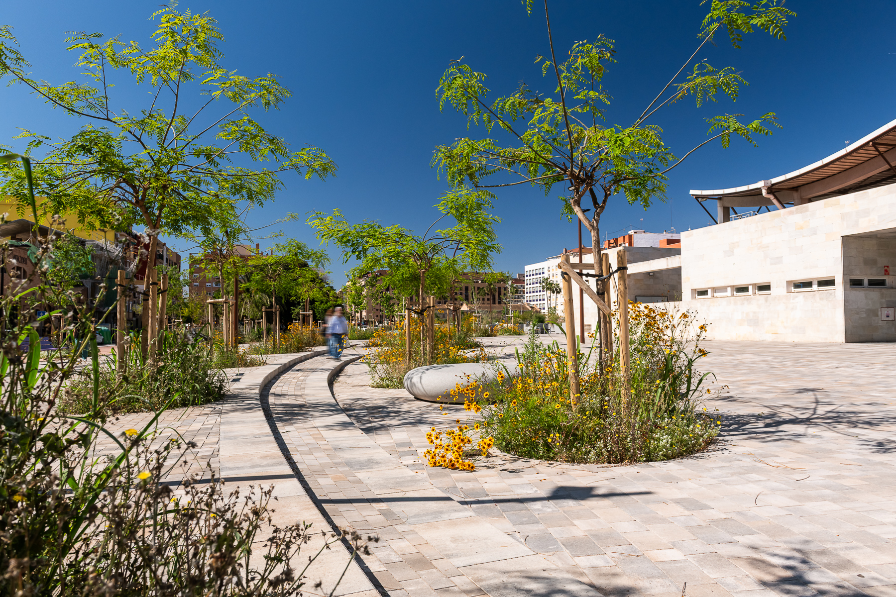 12_2516-Cercle-Cabanyal primaveral-097