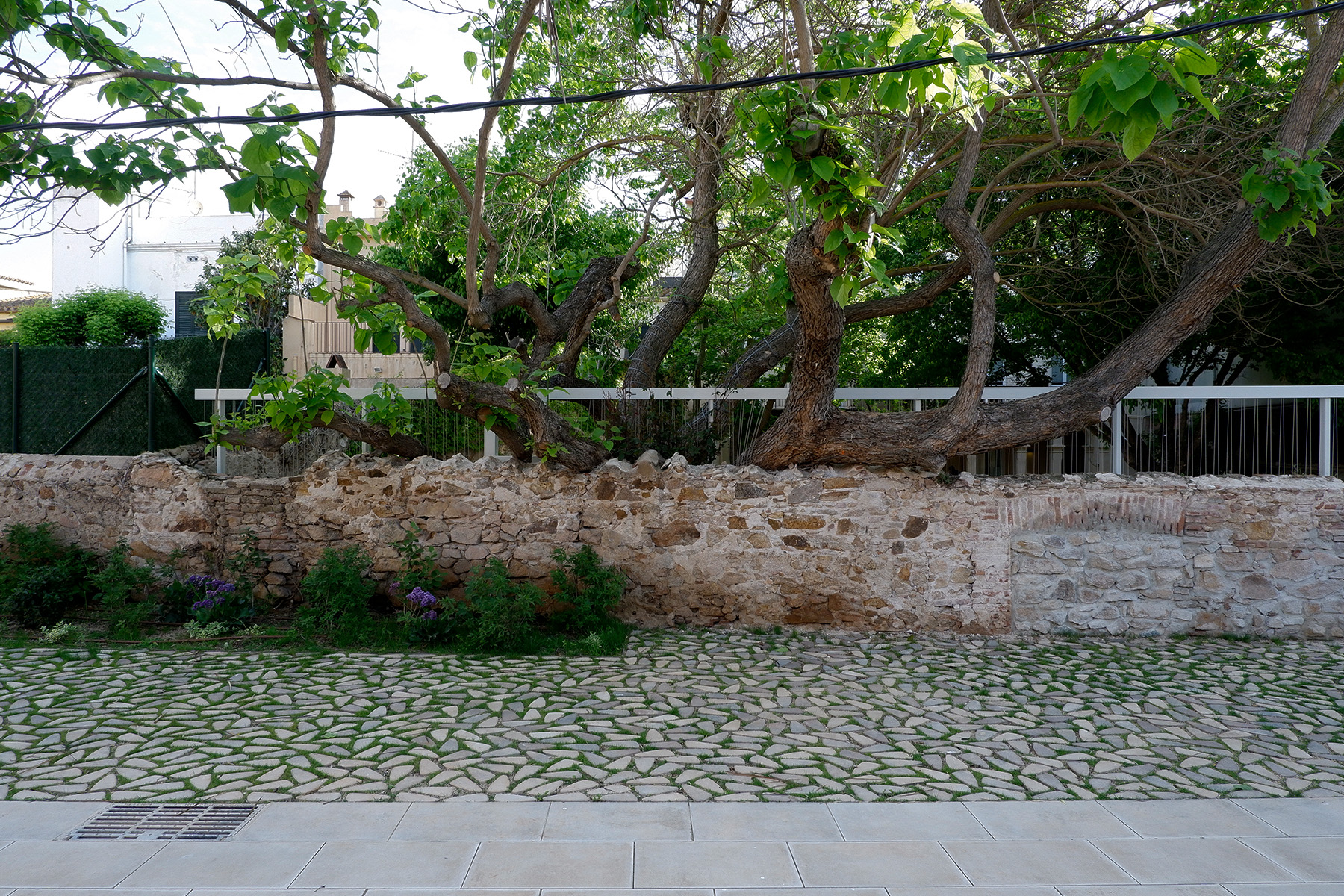 kodole-riera-sants-amants-sant-feliu-de-guixols-breinco