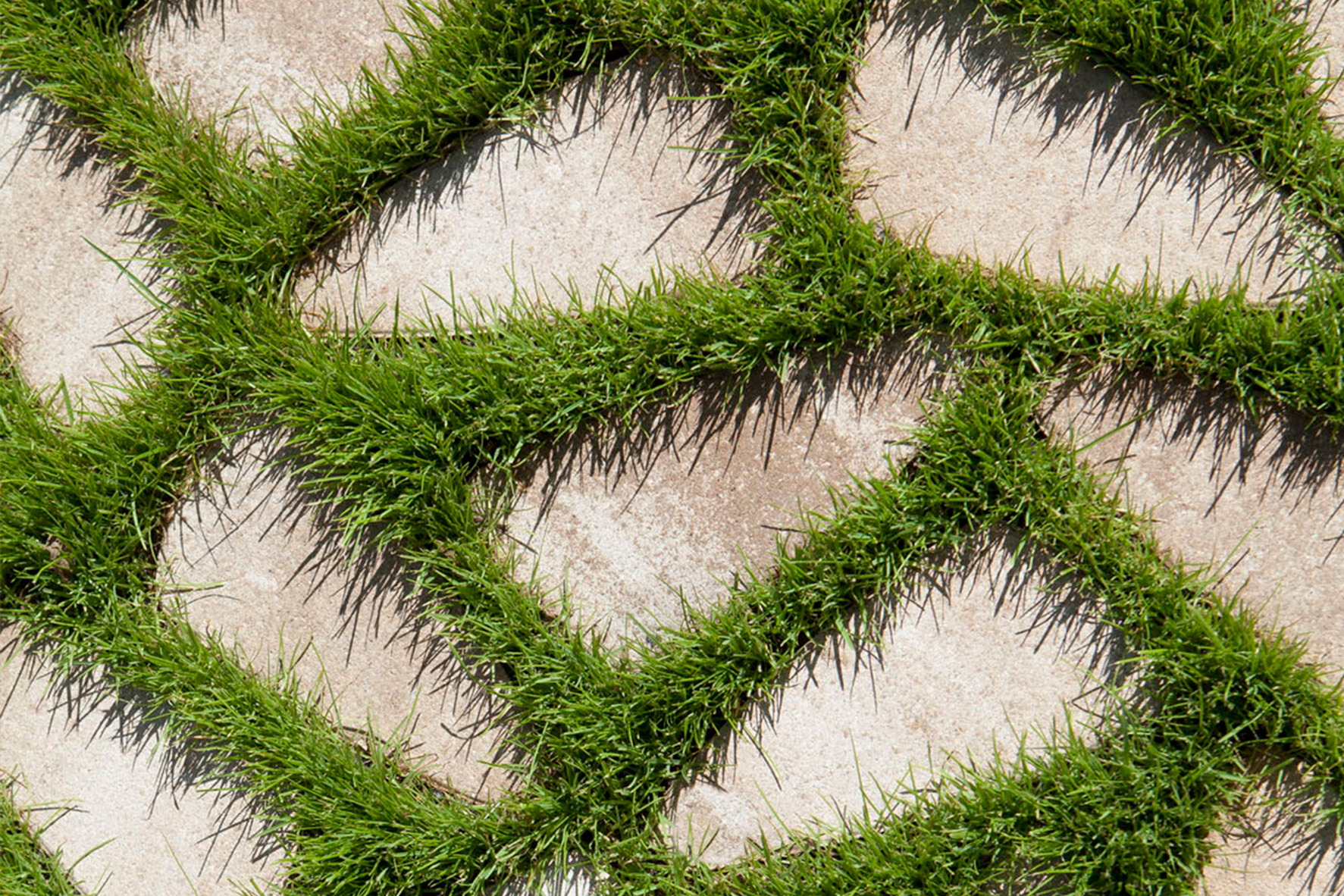 riera-sant-amanç-sant-feliu-de-guixols-girona-kodole-marfil-arena