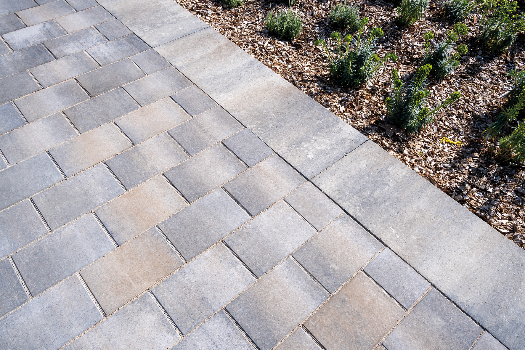 urbanització-parc-tretze-roses-barri-marina-prat-vermell-barcelona-vs5