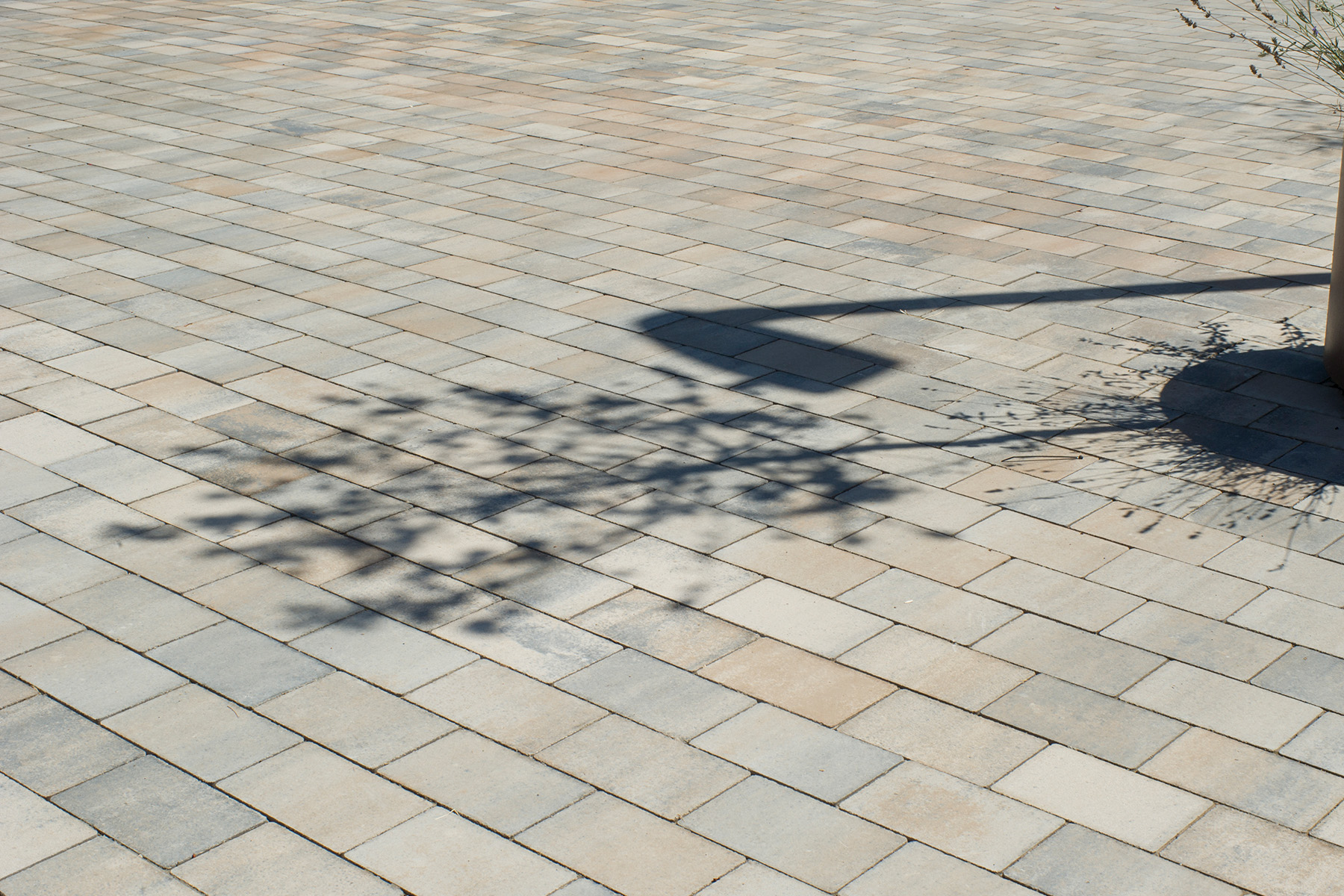 6-Terana-art-street-arena-santa-eulalia-riuprimer-square-barcelona-detail