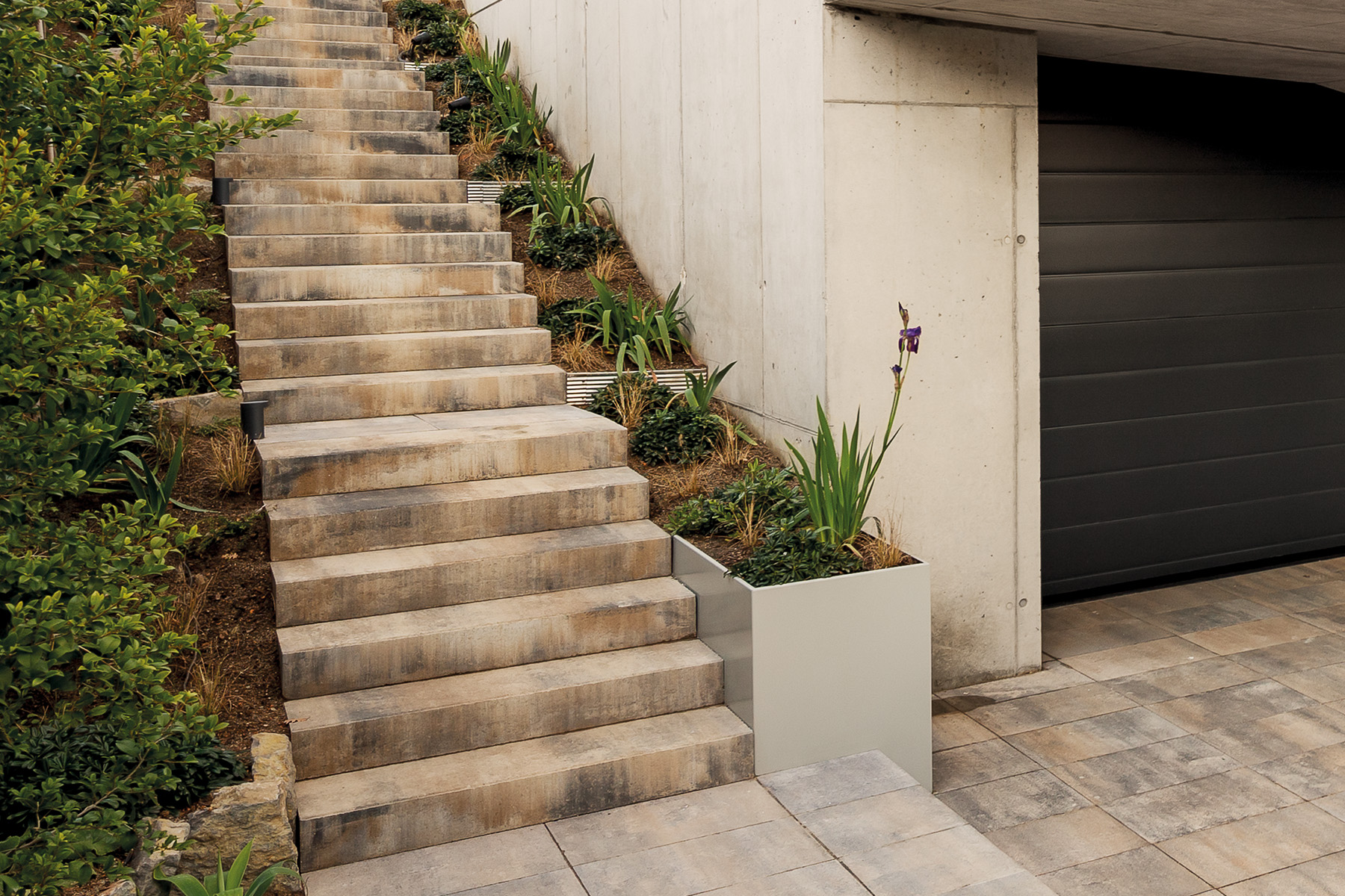 Llosa-vulcano-superstep-home-arena-vivienda-eucaliptus-sant-boi-de-llobregat