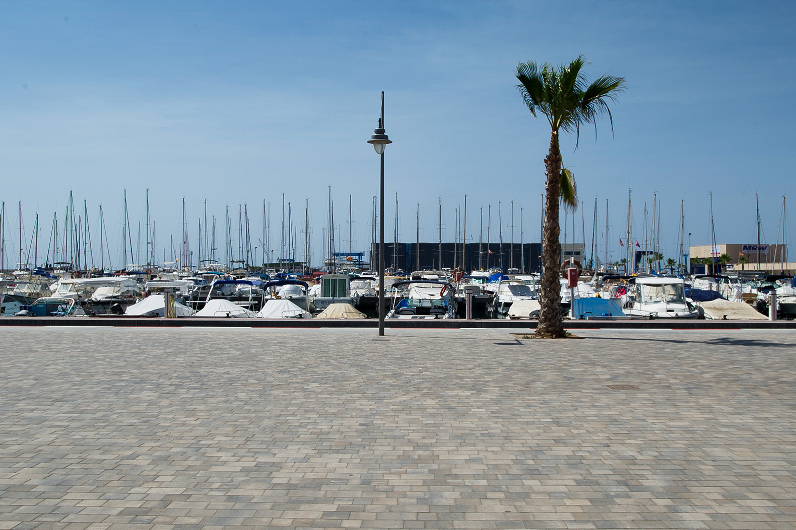 Terana-art-port-arena-alicante-santa-pola-españa