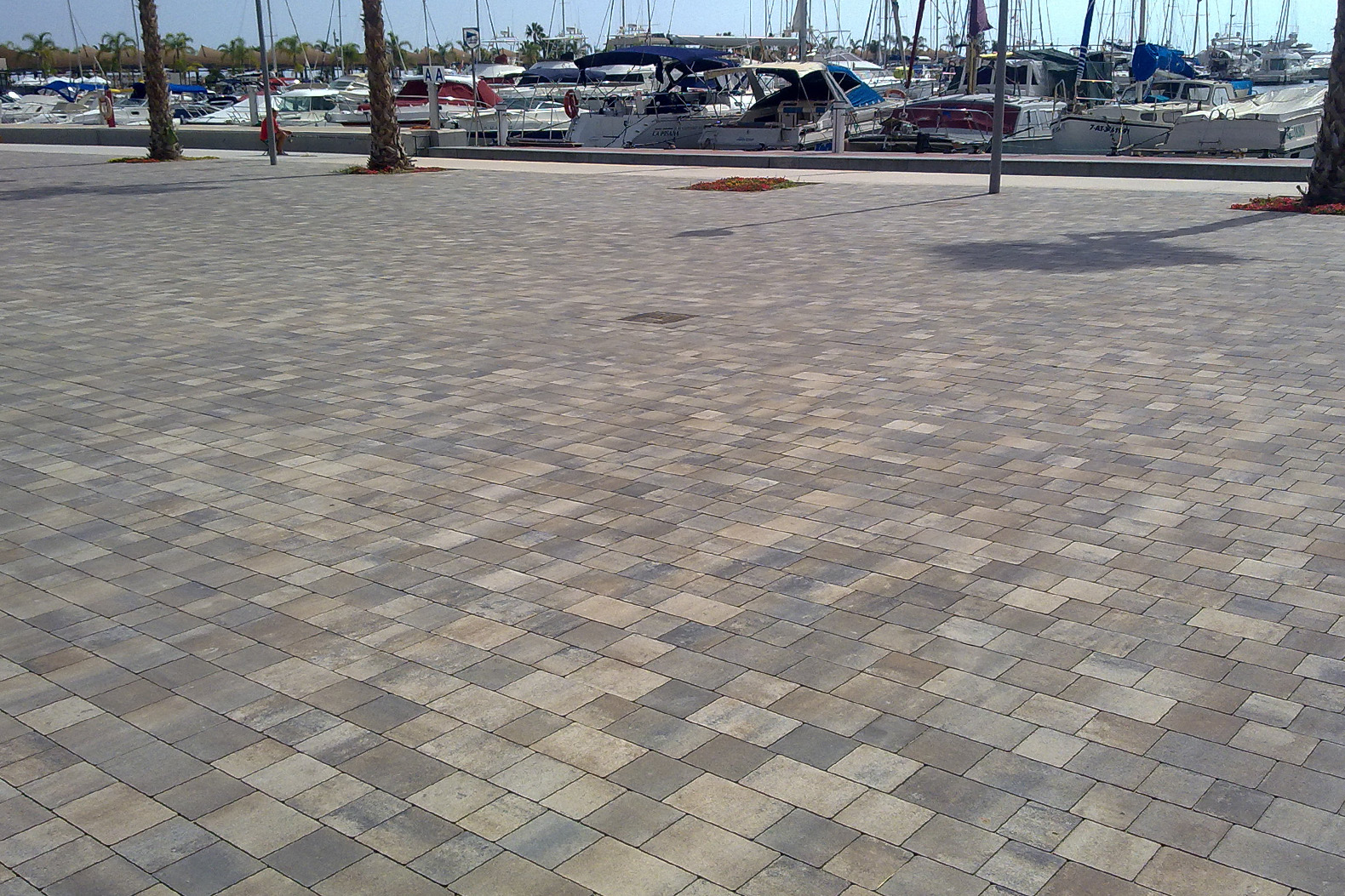 Terana-art-port-arena-alicante-santa-pola-pavimento