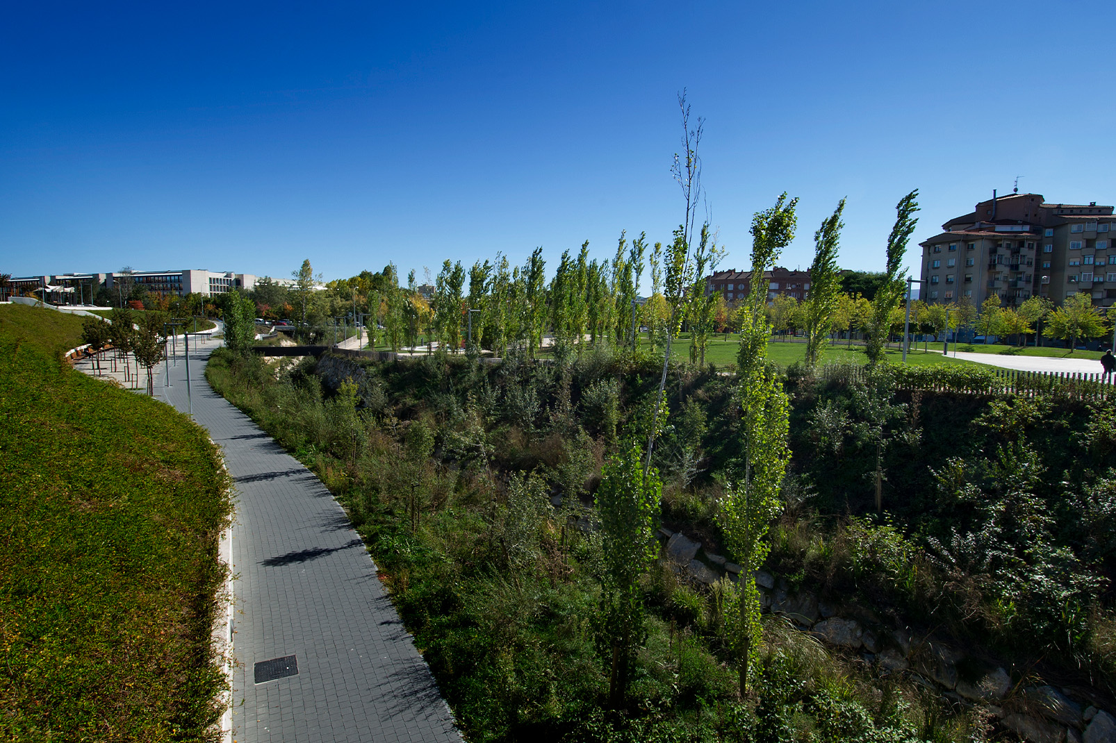 Terana-park-black-arrosadia-lago-pamplona-españa
