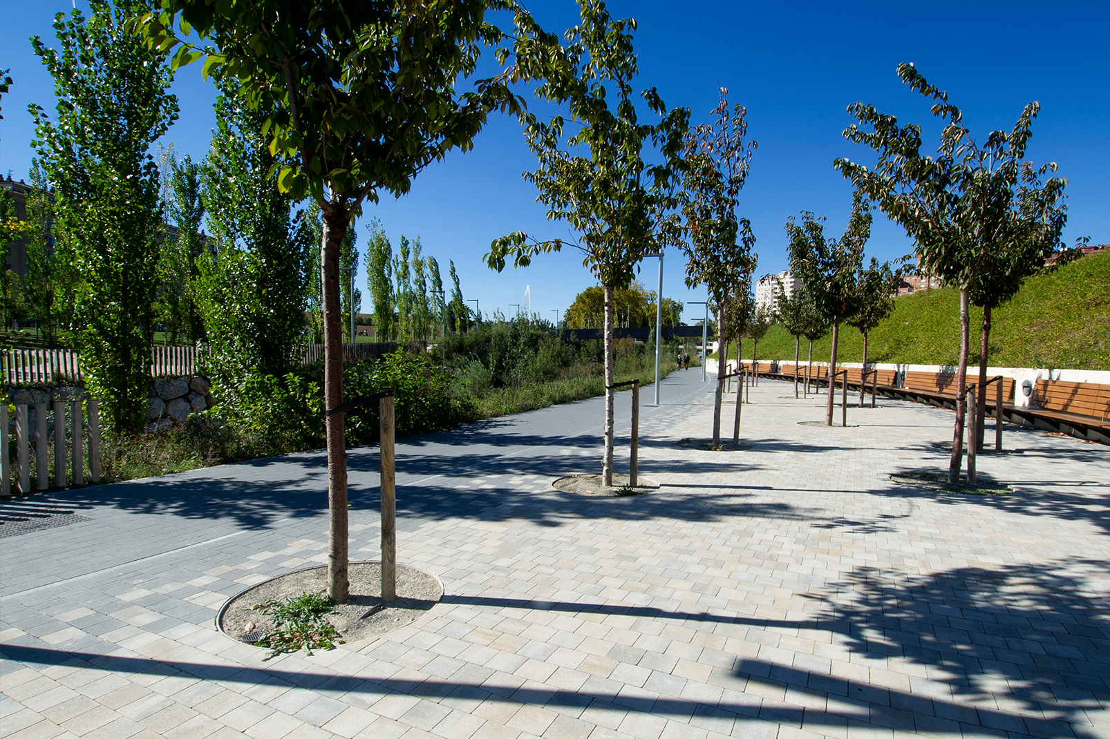 parque del lago Arrosadia en Pamplona (5)